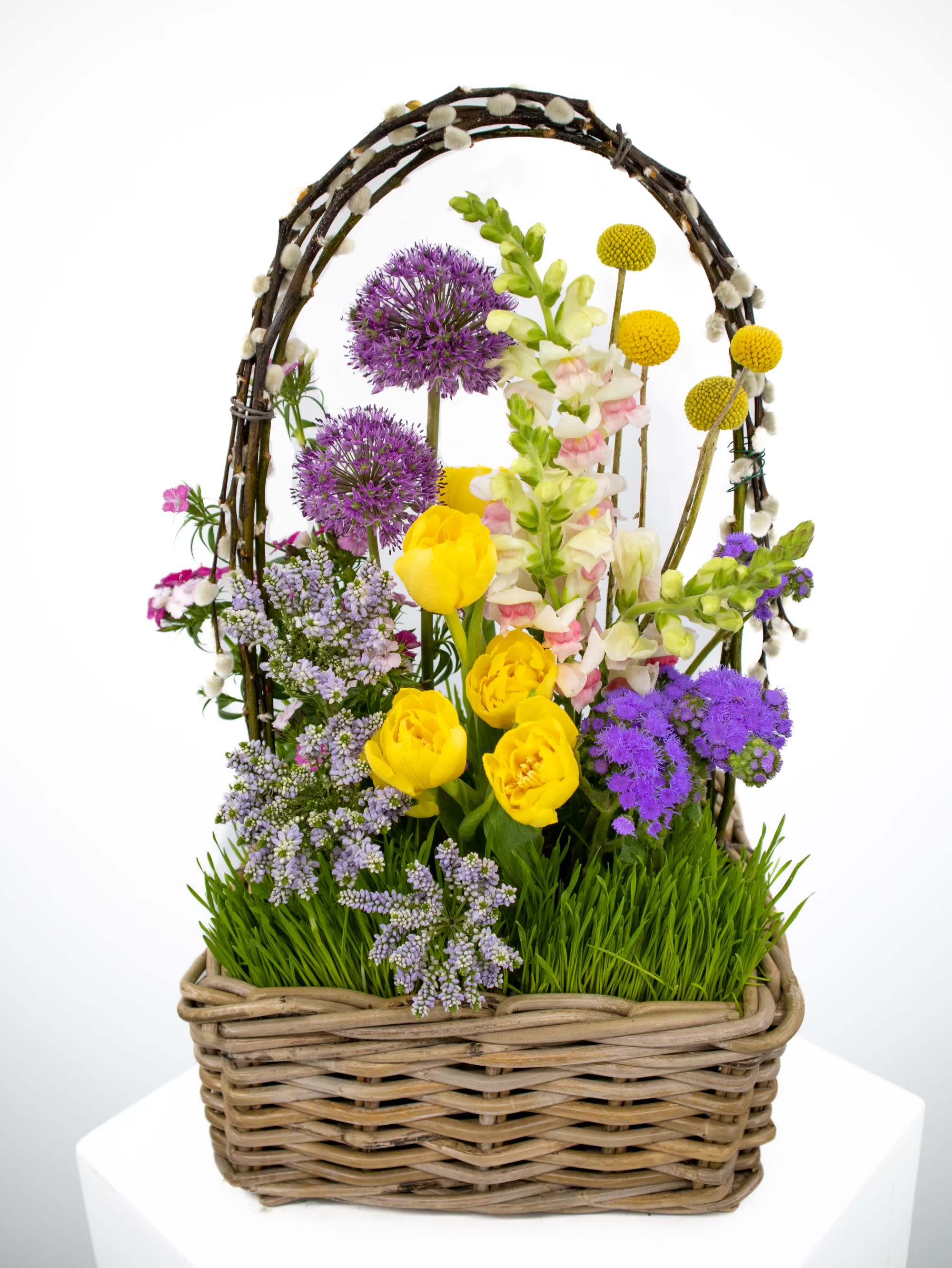 Dakota  - Spring into this fresh look complete with wheat grass!