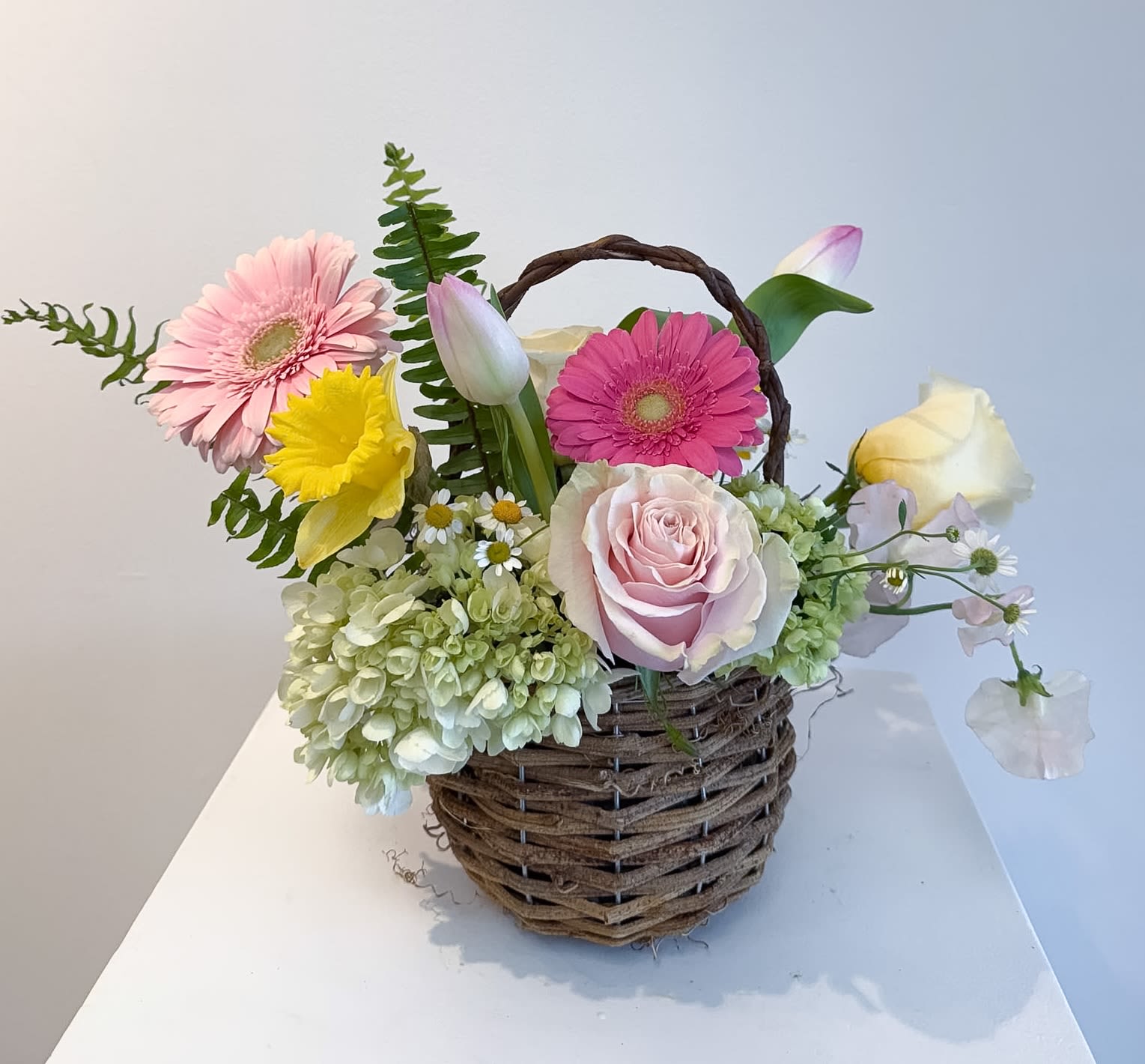 Here Comes The Sun - Celebrate the arrival of spring with our April Monthly Floral Special, thoughtfully designed to reflect the beauty and meaning of the season. Inspired by April’s notable moments:  * Passover, Good Friday, Easter, and Earth Day  This arrangement embraces the spirit of renewal, lightness, and connection to nature, while also highlighting April’s birth flowers: daisies and sweet peas.  Designed in a charming basket, this month’s arrangement feels fresh, gentle, alive, and grounded, echoing the awakening of gardens and fields after winter.    A soft pastel palette of white, blush pink, and butter yellow, accented with lilac and moss green. We will try to incorporate as many spring flowers within this color palette.  This arrangement is designed in a basket using floral oasis foam. To ensure longer enjoyment, please add water to the basket every day to keep the foam hydrated.