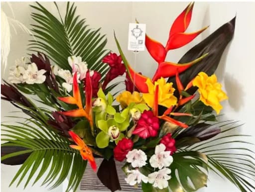 Coral Sonata - A lush mix of tropical blooms with premium roses arranged in low container to be enjoyed in all 360 views