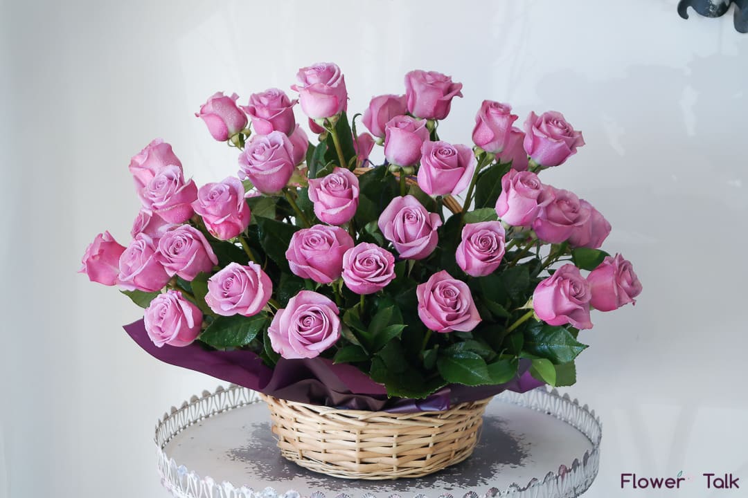 Purple Bloom Basket - Three dozen purple roses arranged in a basket. 