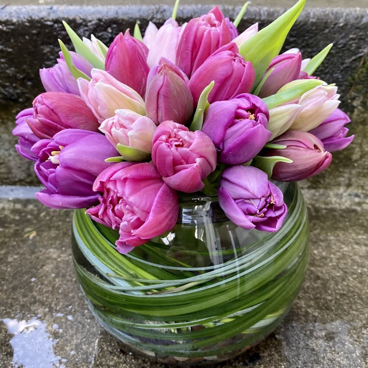 Medium Tulip Bowl - Our Tulip Bowl is a refined celebration of spring, designed to highlight the beauty of premium seasonal tulips. Each arrangement features premium tulips, such as parrot, double, variegated and peony tulips, which are chosen for their richness of color and fanciful form. The result is an arrangement that feels intentional, balanced, and quietly luxurious. This piece reflects the elegance of a French garden — clean lines, harmonious color, and a sense of graceful order.   The tulips are presented in a clear glass bubble bowl that is lined with bear grass and a layer of pebbles or colored composition. Varieties will vary depending on what is in bloom making each Tulip Bowl a highlight of the richness of specialty tulips at their seasonal best.  If you have color preferences, please share a first and second choice at checkout, and we will do our best to accommodate your request. Deluxe and Premium are larger versions with even more fancy tulips to enjoy.  Why Customers Love This Arrangement   •  Features premium tulips in a structured, elegant design   •  Seasonal varieties of fancy tulips make every piece unique   •  A sophisticated choice for gifting or elevating your home   •  Perfect for Mother’s Day, birthdays, get well, thank you and Administrative Professionals’ Week   •  Crafted with care by a REAL Seattle florist  Approximate Dimensions   •  Standard:  6.5" wide × by 9" tall   •  Premium: 10" wide by 10" tall   