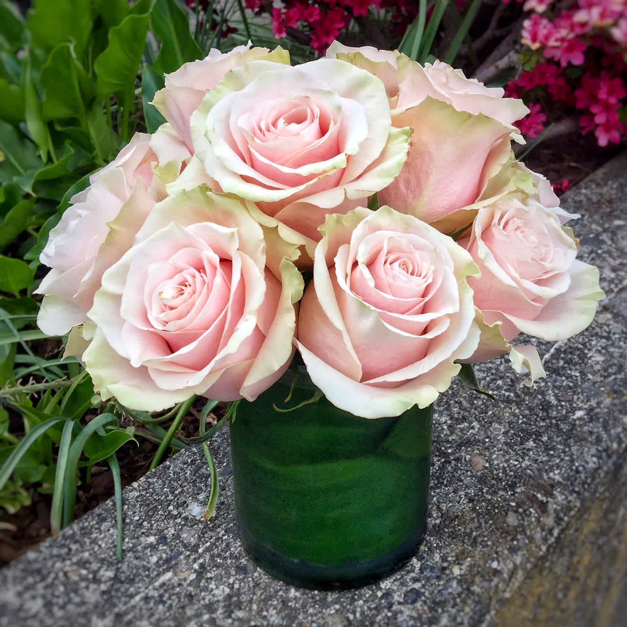 One Dozen Classic Roses - Designer's Choice Color - Classic, simple, perfect. One dozen premium roses arranged without filler or fuss in a clear glass vase with a leaf-wrapped interior.   Order the deluxe version for two dozen roses or premium for three dozen.   If you have color preferences, please specify your first and second choices in the "Florist Instructions" section upon checkout. Please allow two business days for some special requests to be delivered or call us to see what colors of roses we currently have in stock. Or you can choose not to specify and leave it to us! We will create an arrangement using the best roses that we have available on the day of delivery. For red roses, please order Classic Red Roses.  Arrangement Details:  Standard: One dozen roses  Deluxe: Two dozen roses in a larger vase Premium: Three dozen roses in a larger vase  Approximate dimensions:   As shown: 9 inches high by 9 inches wide Deluxe: 10 inches high by 10 inches wide Premium: 10 inches high by 11 inches wide