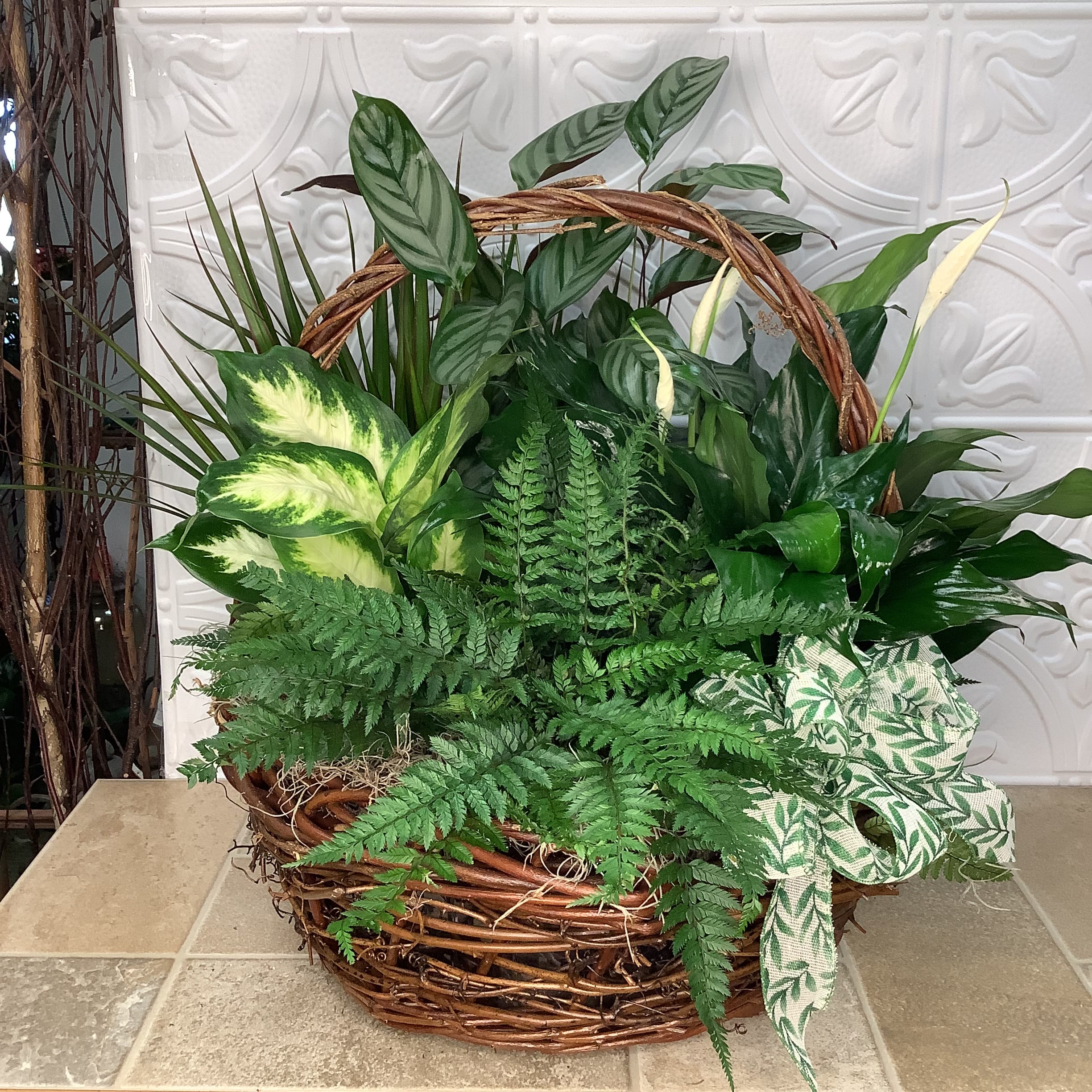 Basket Planter, 26” - An impressive assortment of potted houseplants presented in a sturdy wicker basket with a handle. The plant selection will vary somewhat. It’s a large showy piece measuring 26” wide x 23” tall. 
