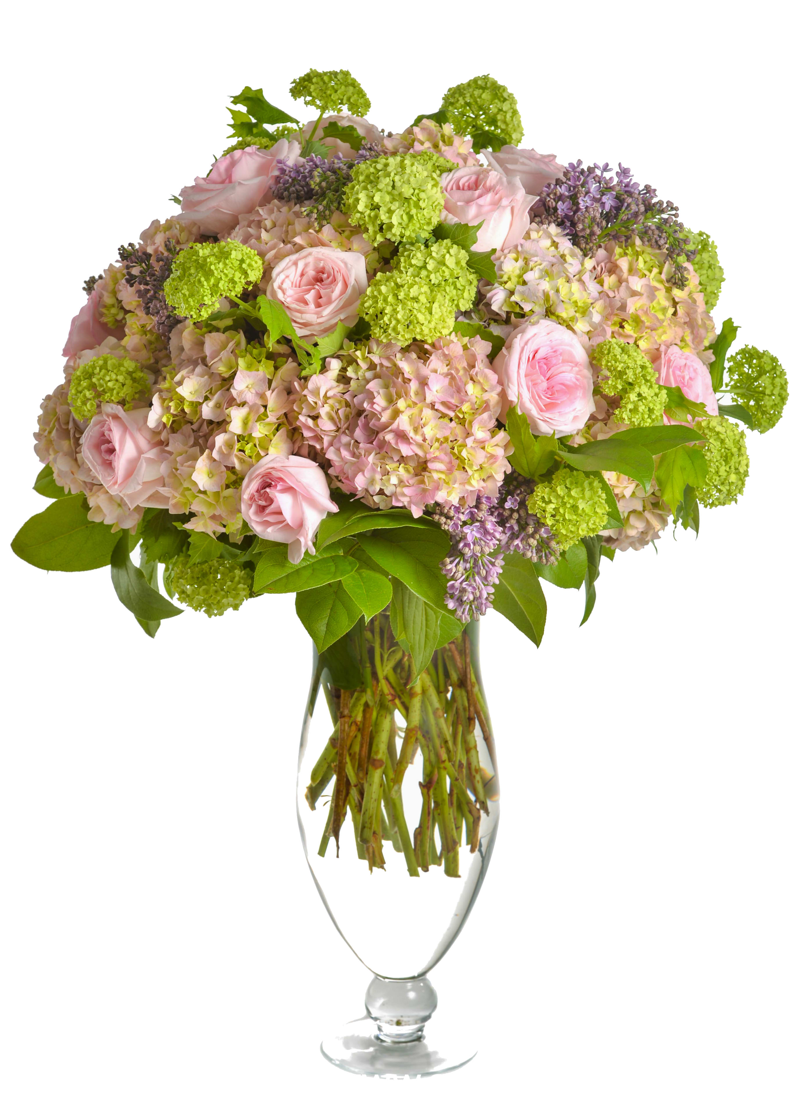 Primavera - Primavera Bouquet, Mother's Day 2017 Exclusive