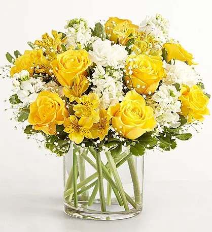 Sunny Elegance Modern Arrangement - A fresh and contemporary floral design featuring white stock, yellow roses, and white alstroemeria, accented with delicate baby’s breath for a light, airy touch. Arranged in a clear 5x5x5 cylinder vase, this modern bouquet highlights clean lines and vibrant contrasts, creating a cheerful and elegant display. Perfect for gifts, celebrations, or brightening any space, this arrangement blends simplicity with sophistication for a stylish floral statement.