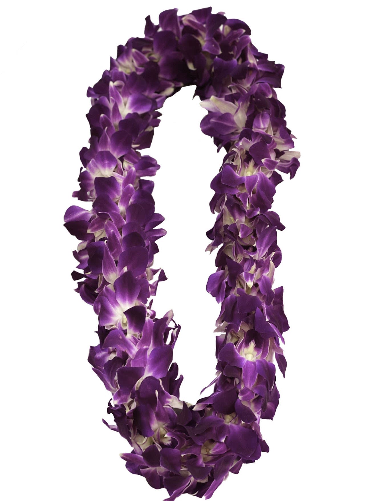 Purple orchid flower lei arranged in a full loop