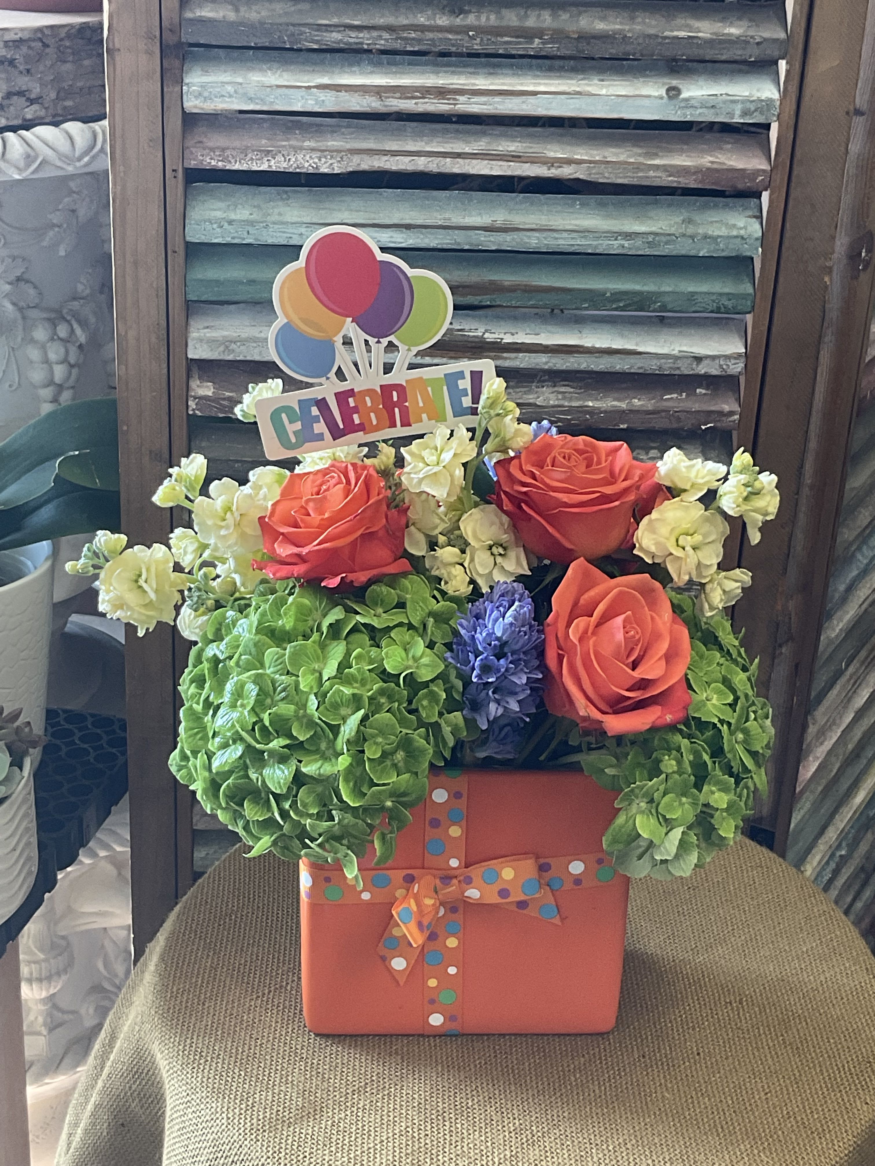 26-105 - Bright orange roses paired with lush green hydrangeas create a burst of joy in this celebratory flower arrangement-perfect as a birthday bouquet, graduation gift, or congratulations arrangement. Creamy white stock softens the palette while a single purple hyacinth adds a surprising lift of color and scent, ensuring the recipient feels cheered and truly celebrated.  Arranged in a compact, rounded design, the blooms sit in a bright orange ceramic cube vase tied with a playful multicolored polka dot ribbon and bow. A colorful "Celebrate" pick with balloon graphics rises above the flowers for an extra-party touch. The combination of roses, hydrangeas, stock, and hyacinth makes a vibrant, textural display that's ready to sit on a table, desk, or mantle.  This is the kind of arrangement that announces the occasion without saying a word-ideal for the person you want to make feel special today. Vase size and care: flowers arrive arranged and ready to display; refresh water daily and trim stems every few days to extend blooms.