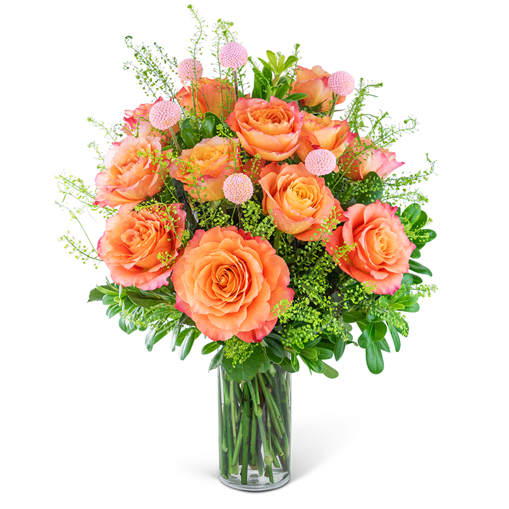 One Dozen Free Spirit Rose Symphony - Experience a symphony of beauty with the One Dozen Free Spirit Rose Symphony flower design. This stunning bouquet showcases a dozen coral-colored Roses accented with pops of vibrant Craspedia and premium foliage, elegantly arranged in a clear glass vase. Perfect for those seeking a non-traditional and whimsical gift, this arrangement is sure to enchant your loved one on Valentine's Day or any special occasion, filling their heart with joy and admiration.