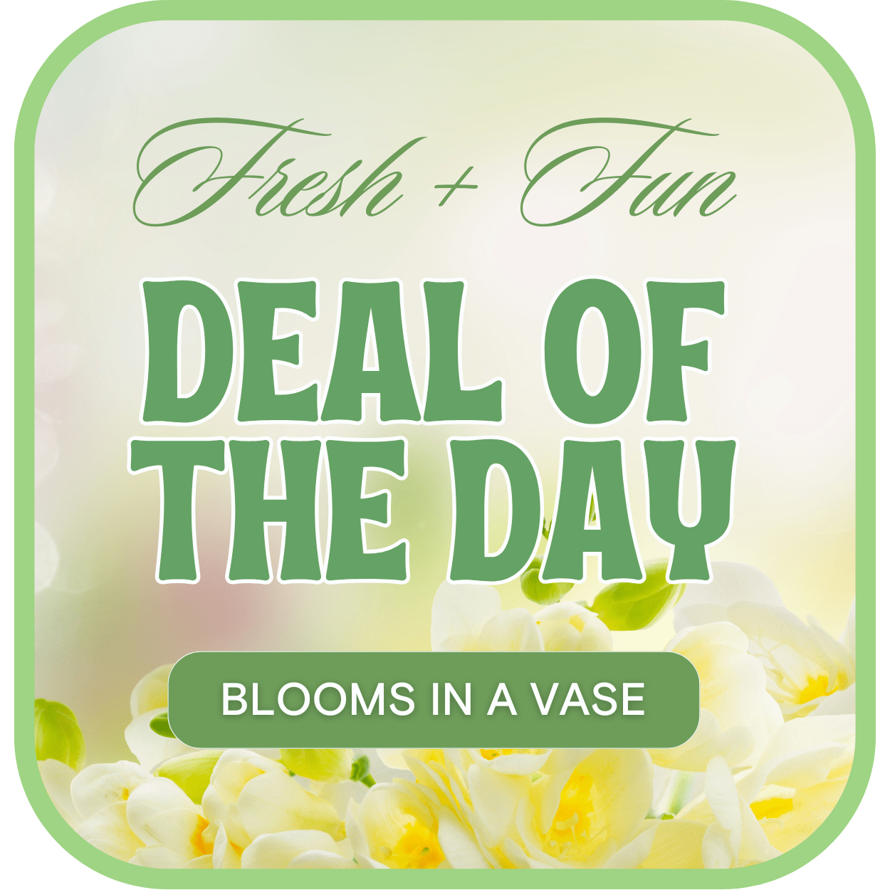 Florist's Deal of the Day - The Florist's Deal of the Day is our version of the daily special. If you're looking for the biggest value, select our deal of the day special. We pick a fresh, on-trend, design and container for your special occasion, hand-arranged, and delivered to your door.  
