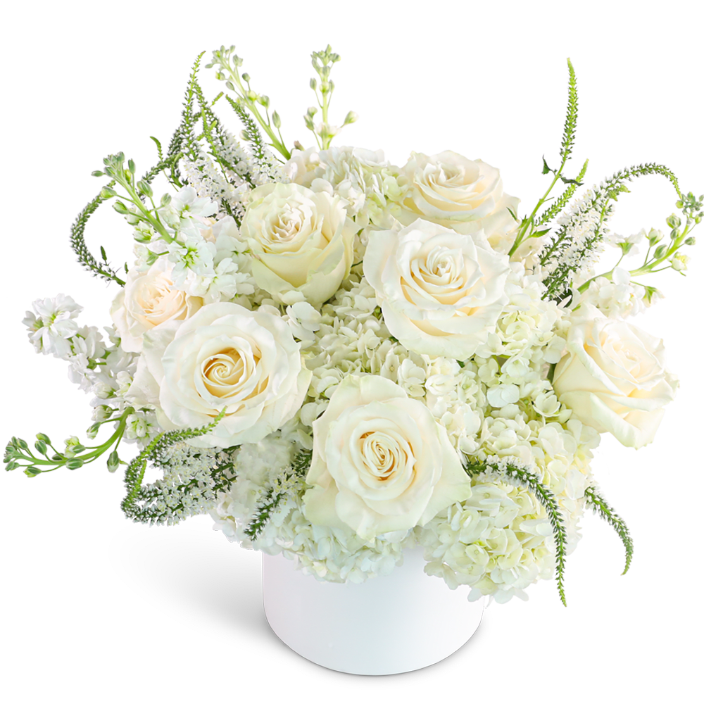 Chantilly Creme - "Our Chantilly Creme design features an elegant white color palette, with White Hydrangea, Roses, Veronica, Stock, and premium foliage. This timeless arrangement exudes a sense of tranquility and sophistication, perfect for any occasion. Its serene beauty makes it a perfect choice for adding a touch of purity and grace to any space. As a trusted local florist, we take pride in every order, offering hand-crafted flower designs delivered directly to the recipient. Our flower shop is committed to providing the highest quality, freshest flowers, and ensuring timely delivery for every arrangement."