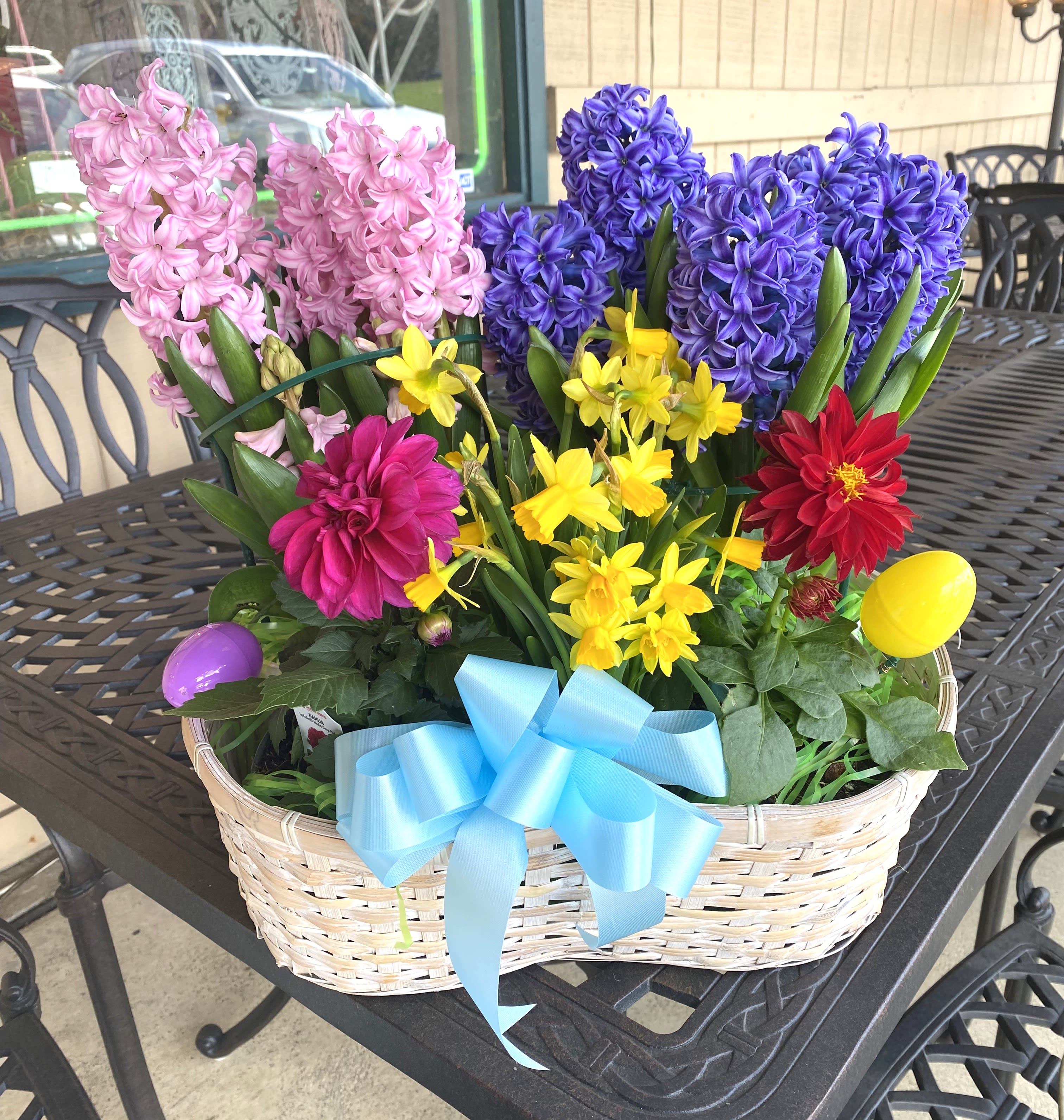 Medium Easter Plant Basket - Nice mix of spring bulb plants in a decorative basket or container. Colors and Flowers May Vary!!!