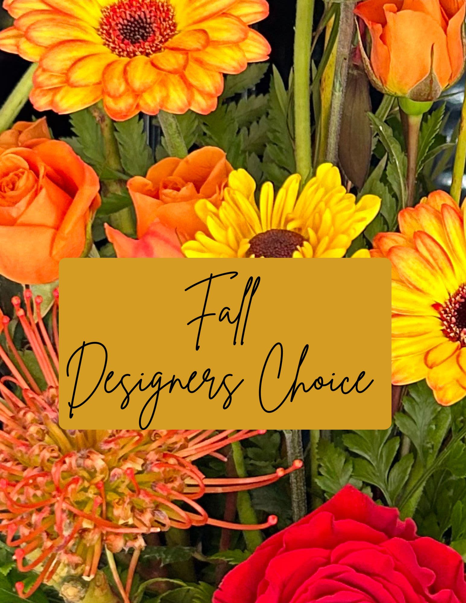 Fall Designers Choice Arrangement  - A vivid harvest of warm tones greets the recipient with this fall flower arrangement-perfect as a seasonal centerpiece, Thanksgiving accent, or a birthday gift that celebrates autumn. The fall designers choice arrangement places orange roses, yellow-orange gerbera daisies, and bright yellow chrysanthemums in a tight, festive cluster so the warm hues dominate; deep reds and richer oranges add depth and make the display feel both cozy and celebratory.  A spiky orange pincushion protea provides unexpected texture and a striking focal point amid the soft petals, while the closely grouped blooms create a lush, abundant look that reads like a sudden blaze of color. The palette of orange, yellow, and red evokes crisp leaves and harvest warmth, making this an ideal choice for someone who loves seasonal décor or a warm, thoughtful gesture during the autumn months.  This arrangement is designed to make the person you're thinking of feel seen and celebrated-whether you're dressing a holiday table or surprising a friend with a fall birthday bouquet. Order for pick-up or delivery to ensure it arrives fresh for the occasion; the clustered style keeps stems supported and looking full from every angle, and simple vase care-fresh water and a trim when needed-will extend the enjoyment.