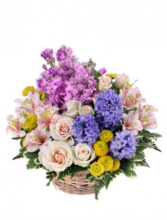 Basket arrangement with pink roses, purple stock, yellow button mums, and pink alstroemeria