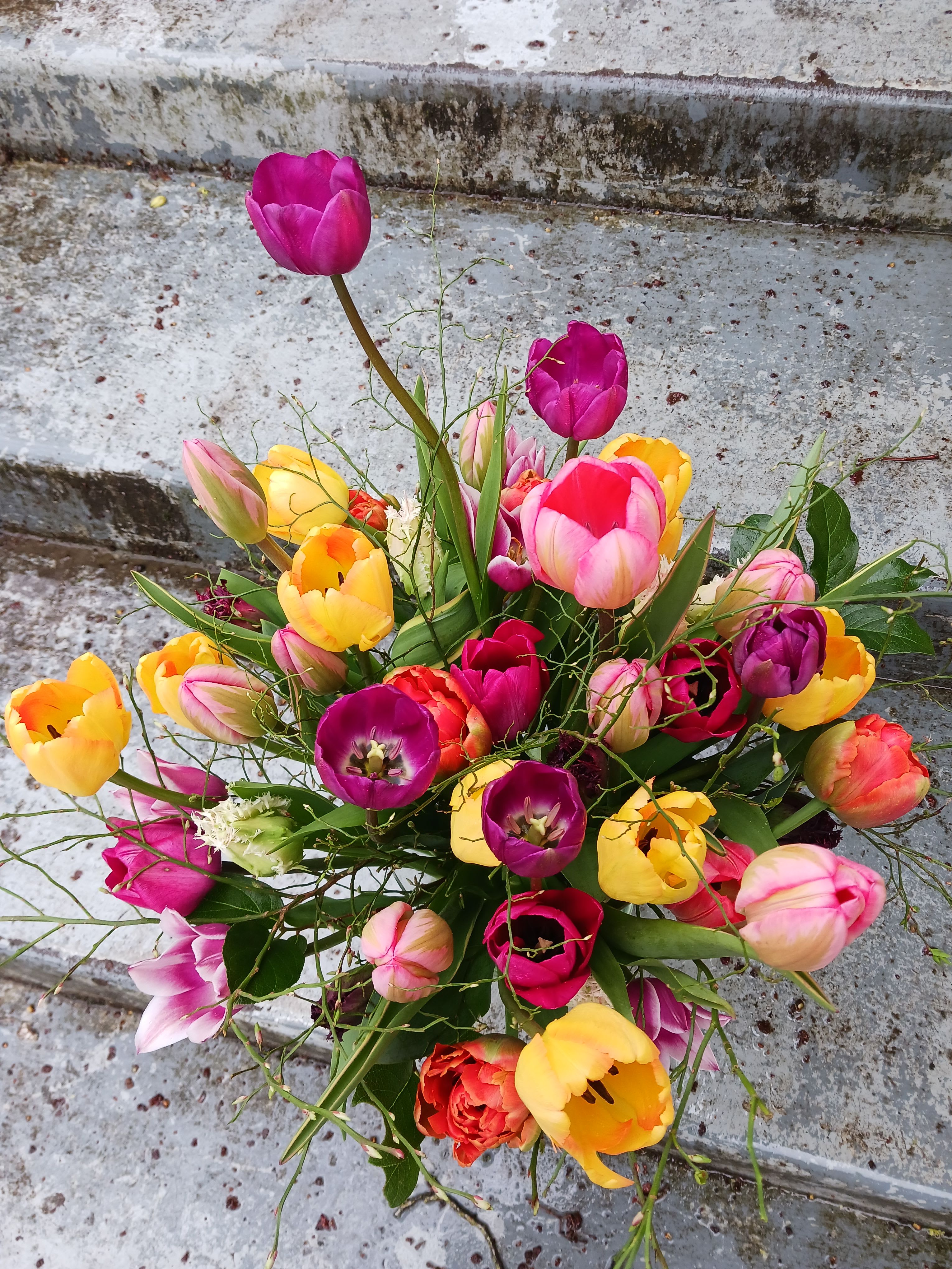 Tulips!! - 20 Local Tulips in a white hobnail vase  You can specify a color or we can pick for you   ***Please note that Emerald Petals creates with the seasons. What you see pictured is a representation of our style and the general size of the bouquet, intentional substitutes will be made as needed as all of our arrangements are one of a kind like you **A clear vase will be used unless specified