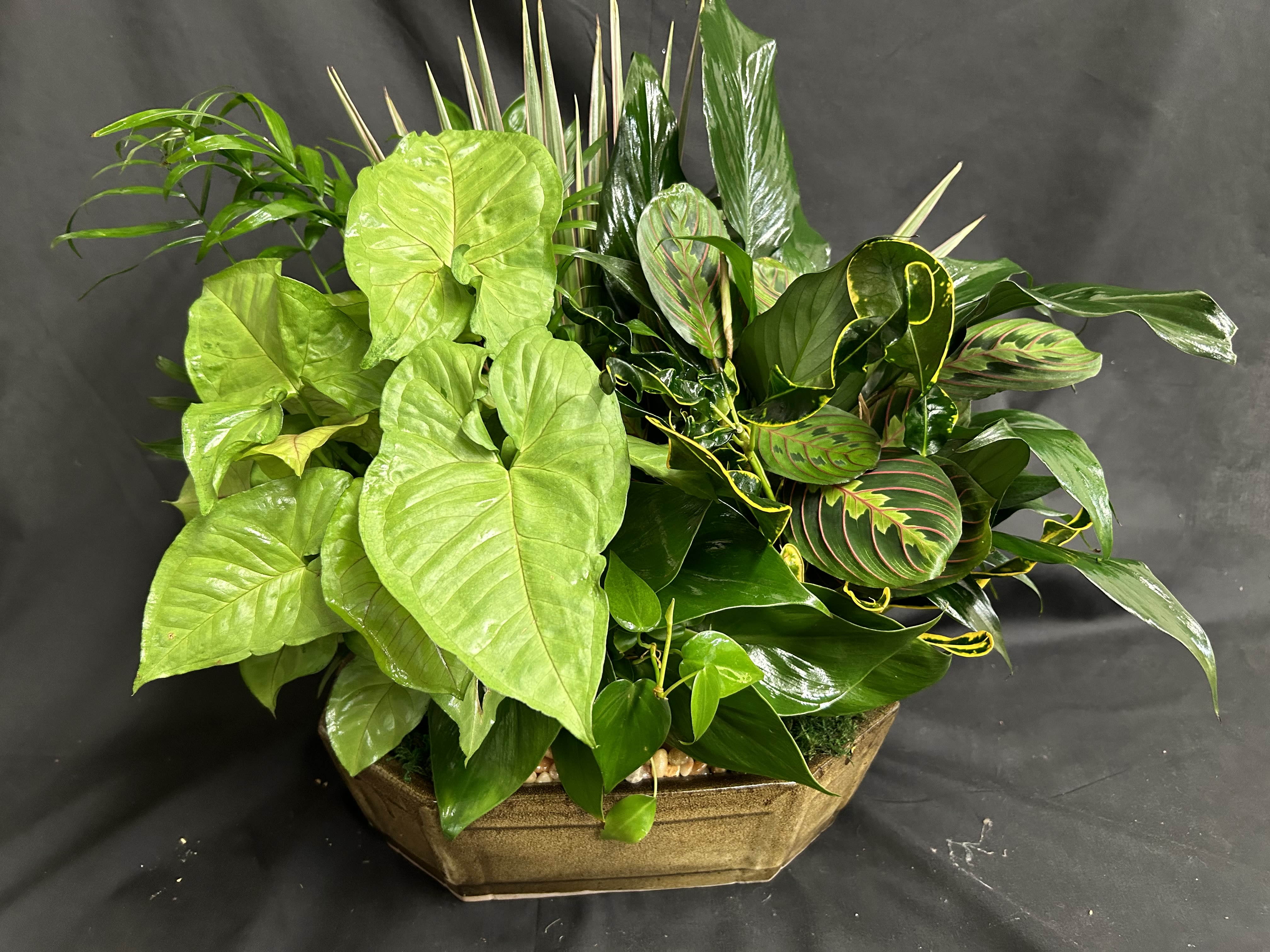 Assorted green foliage plants arranged in a low brown planter