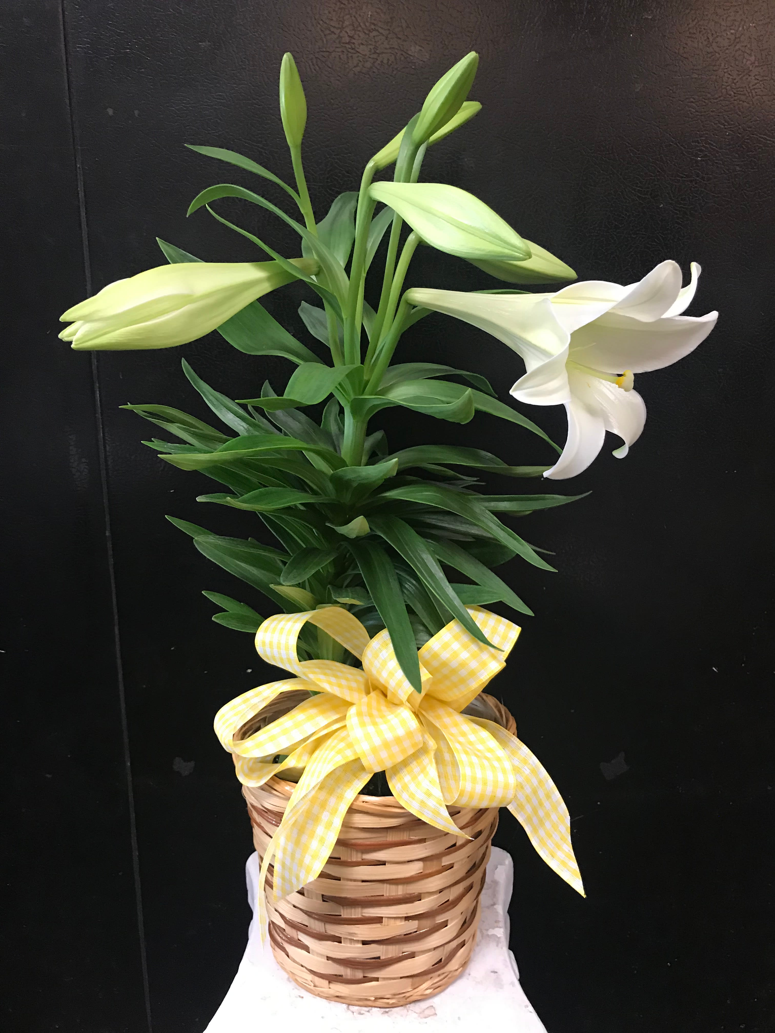 Potted white lily plant in a woven basket with a yellow checked bow