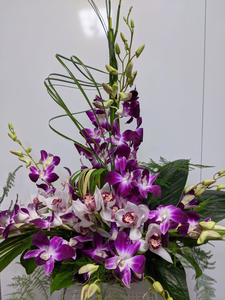 Tall arrangement of purple and white orchids in a low white container with looped grass accents