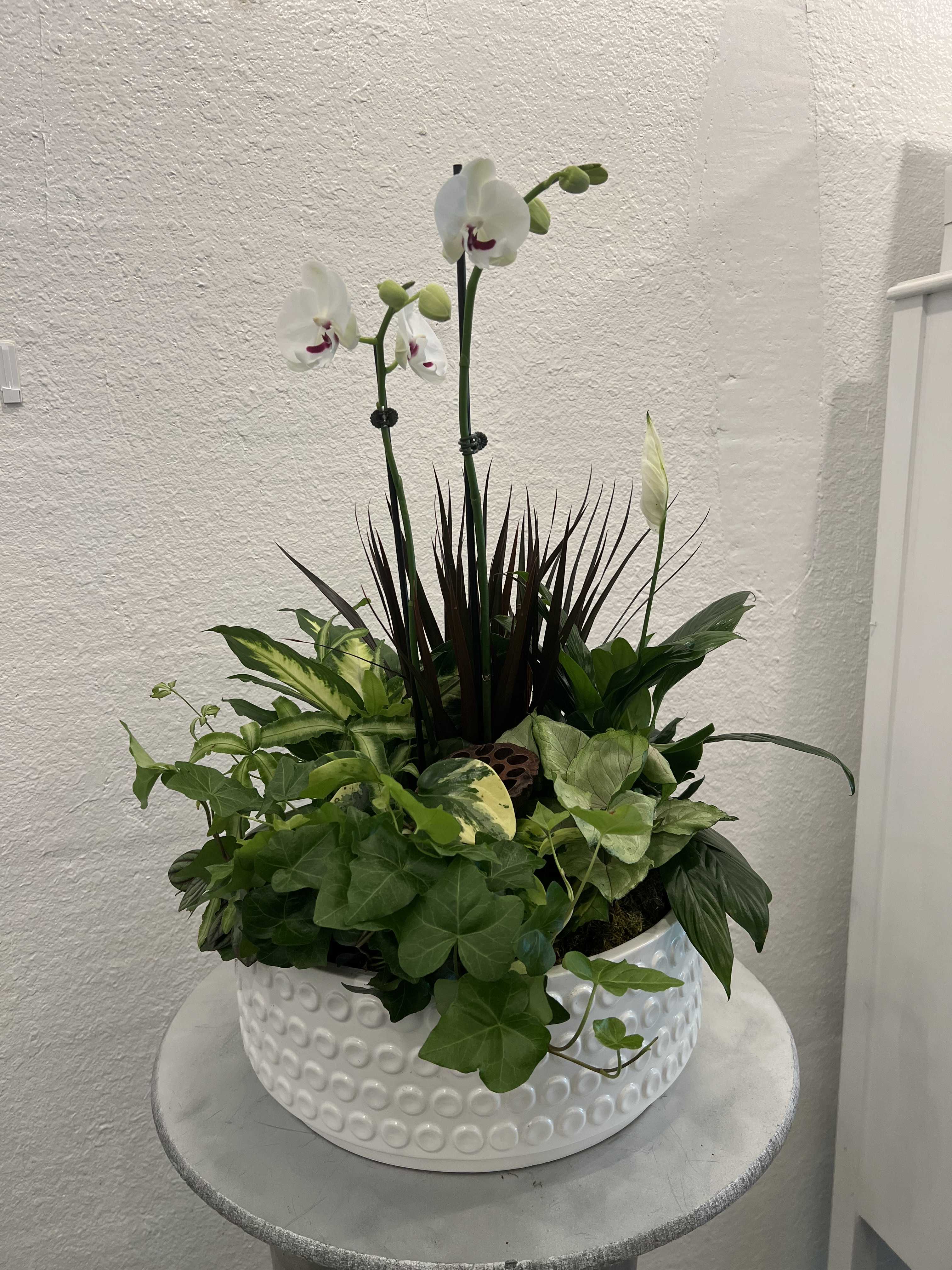 Low white ceramic planter with a white orchid and assorted green houseplants.