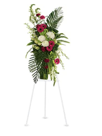 Gerberas and Palms Spray - "Convey your respect and admiration with this spray of striking red and white funeral flowers. Red gerberas and carnations complement white orchids, snapdragons and chrysanthemums, all set against the deep greens of tropical palm leaves. Beautiful flowers such as red gerberas and carnations, white orchids, snapdragons and chrysanthemums, plus tropical palm leaves and ferns.   Orientation : One-Sided  All prices in USD ($)  Standard  T246-3A"