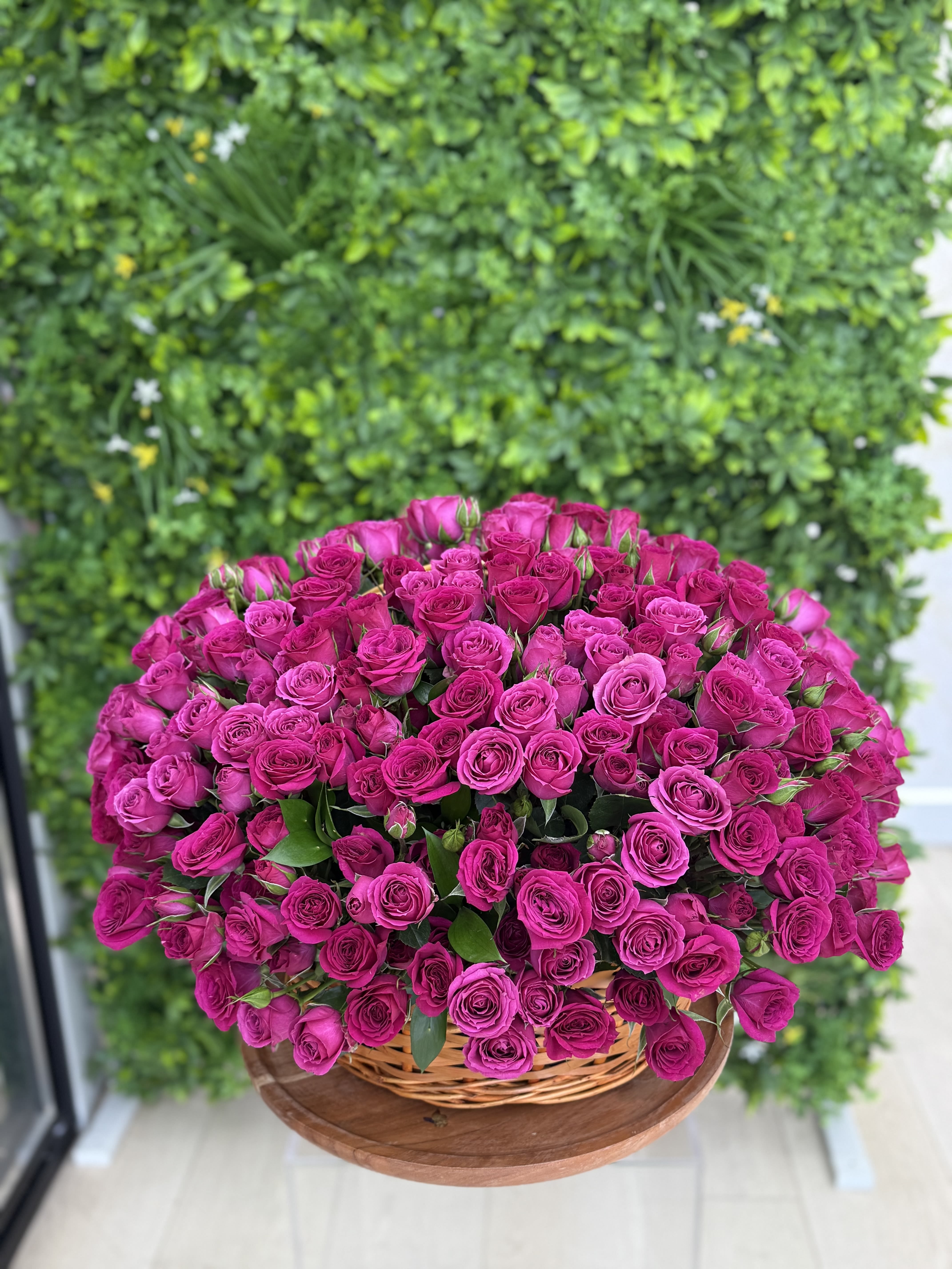 Large basket of hot pink roses on a wooden table in front of a green wall