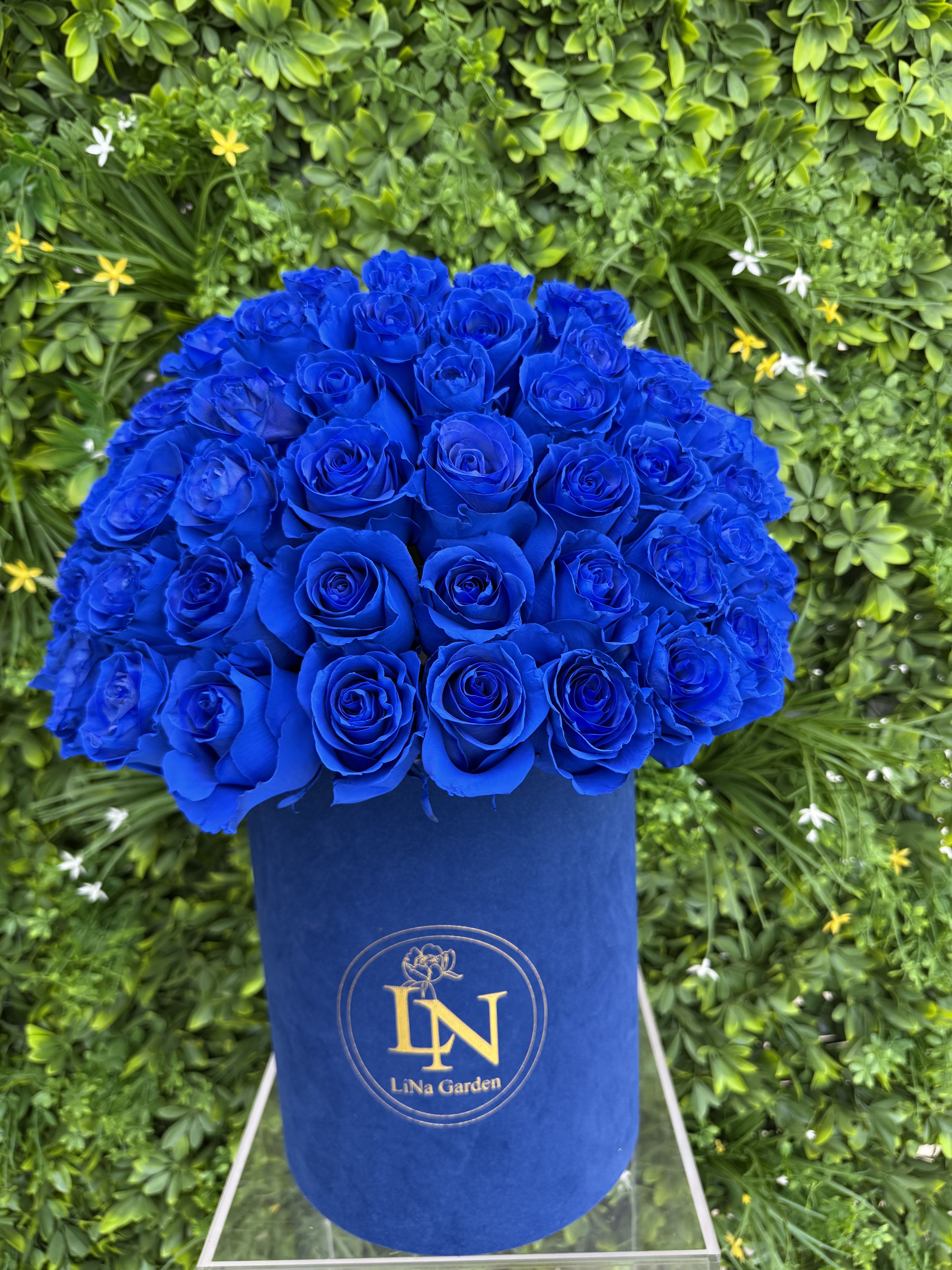 Blue roses arranged in a round velvet hat box