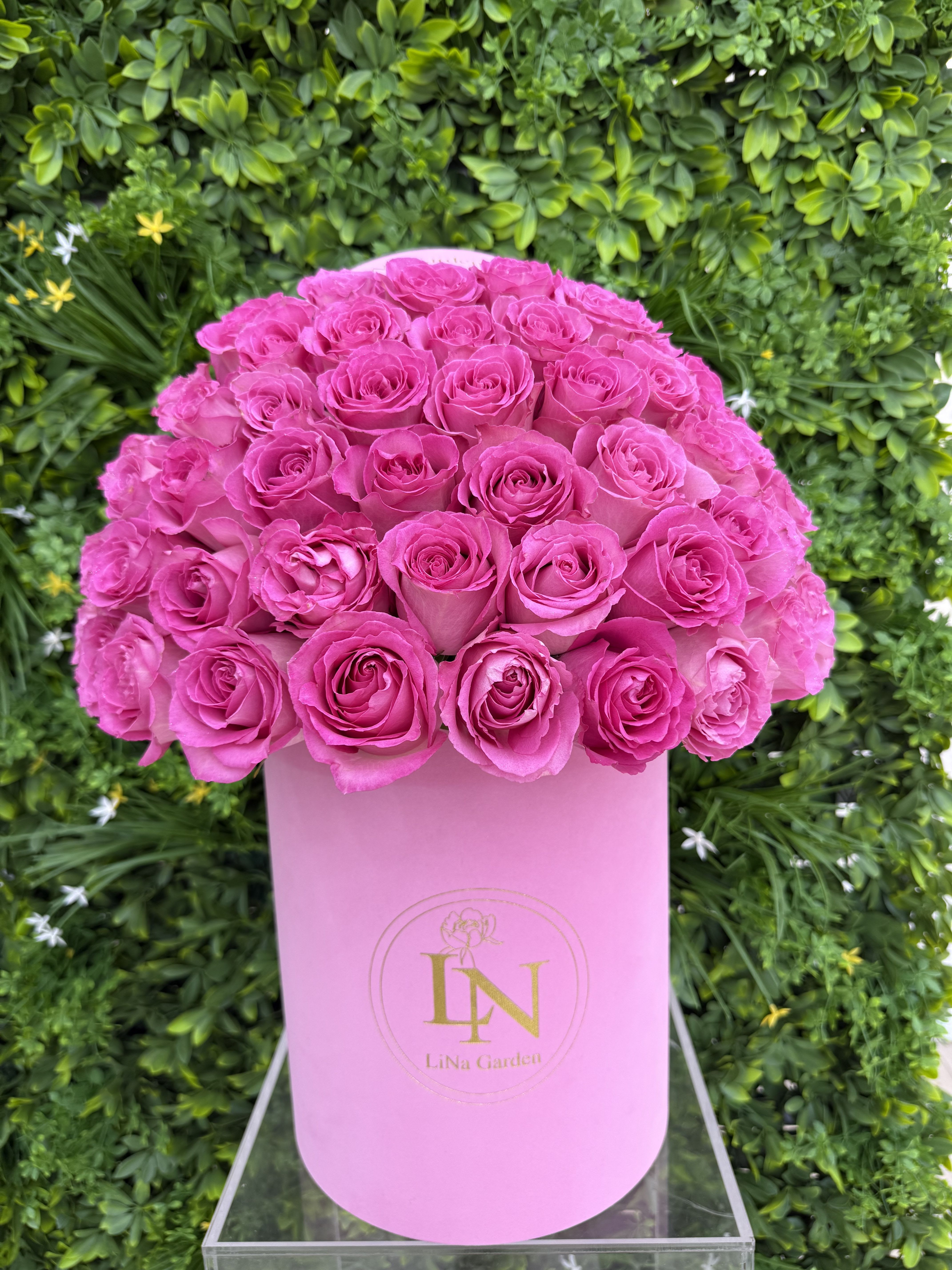 Bright pink roses arranged in a tall pink box