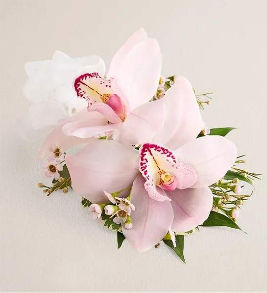 Blush Cymbidium Luxe Orchid Corsage - A soft,elegant statement featuring premium blush cymbidium orchids, designed for a timeless, and refined look. Perfect for proms,weddings, and unforgettable  moments.