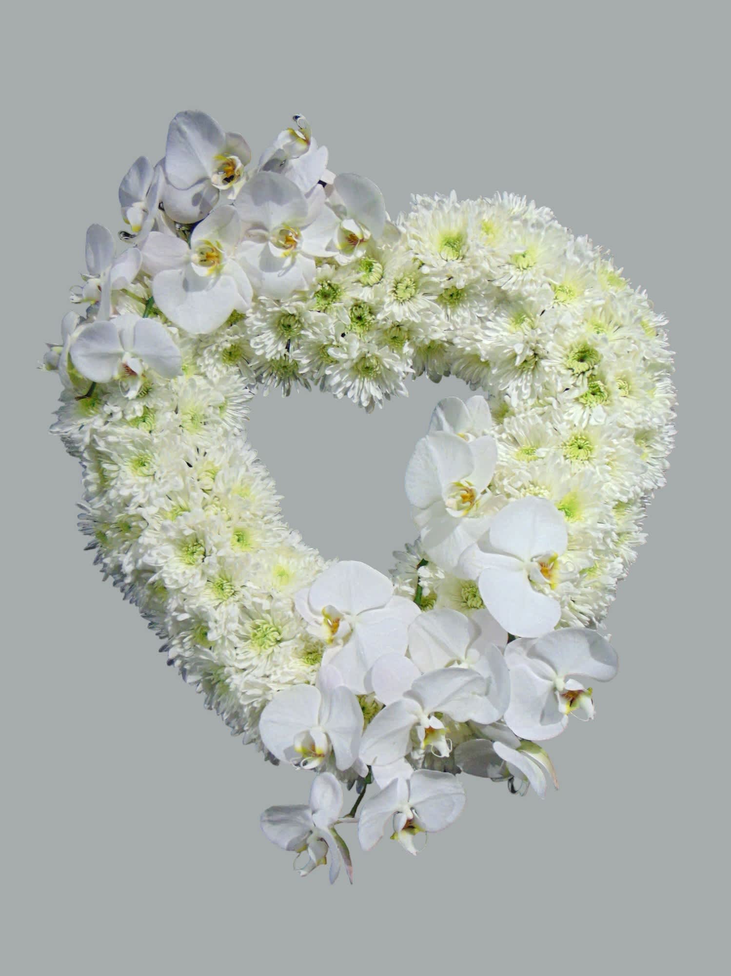 Heart-shaped wreath of white orchids and chrysanthemums on a gray background