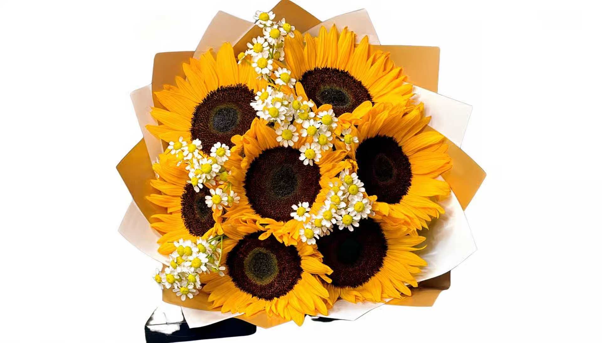 SUNFLOWER BUQUET - 6-7 SUNFLOWER ( DEPENDING ON SUPPLY) WHITE PAPER (THE DESIGN OF THE PAPER MIGHT VARY DEPENDING ON SUPPLY) BABYBREATH OR THE WHITE DAISIES DEPENDING ON SUPPLY