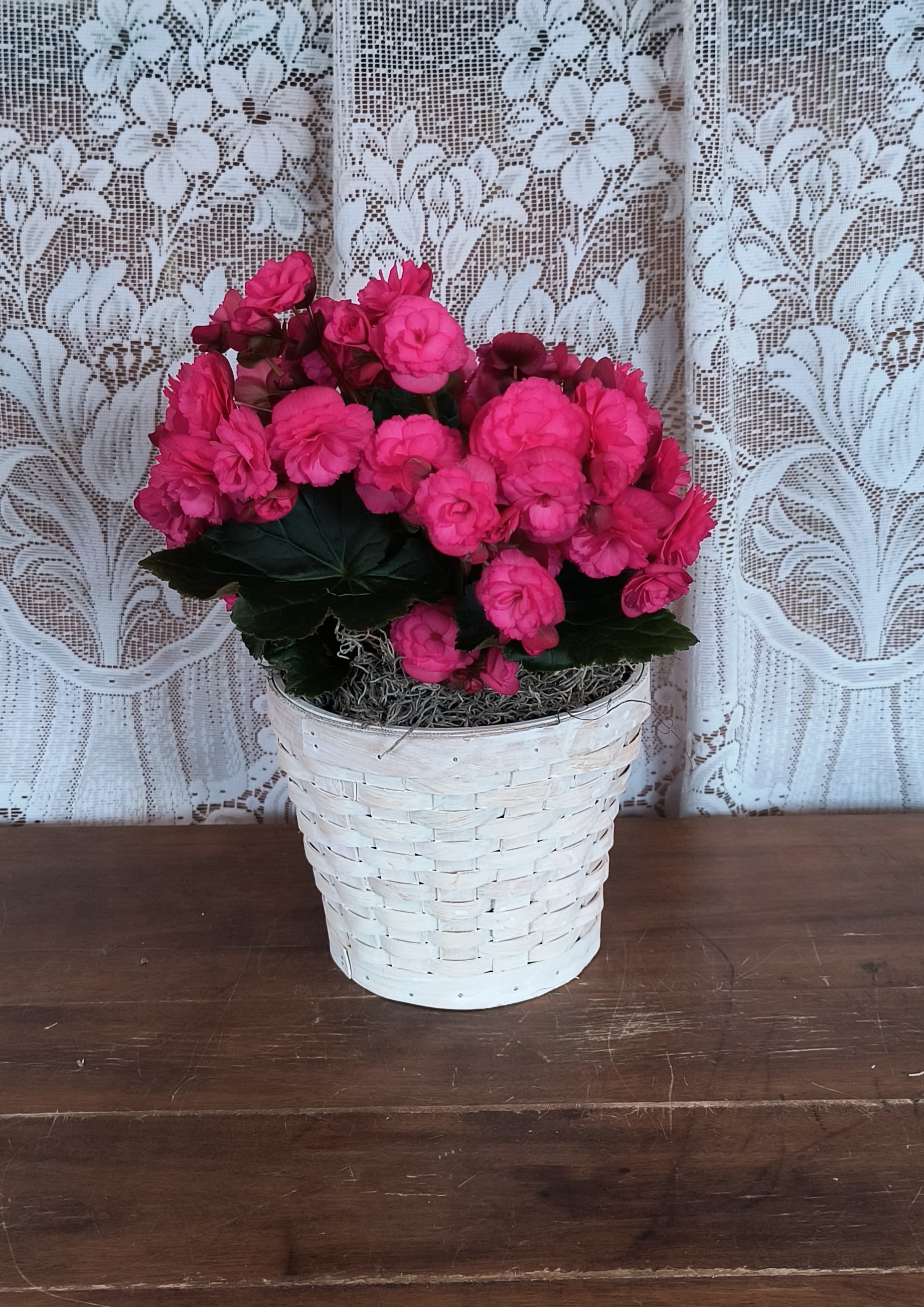 Potted plant with bright pink blooms in a white woven basket on a wooden table.