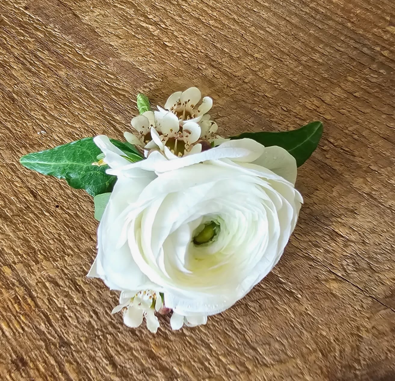 White ranunculus boutonniere - White ranunculus boutonniere, must be ordered 1 week in advance