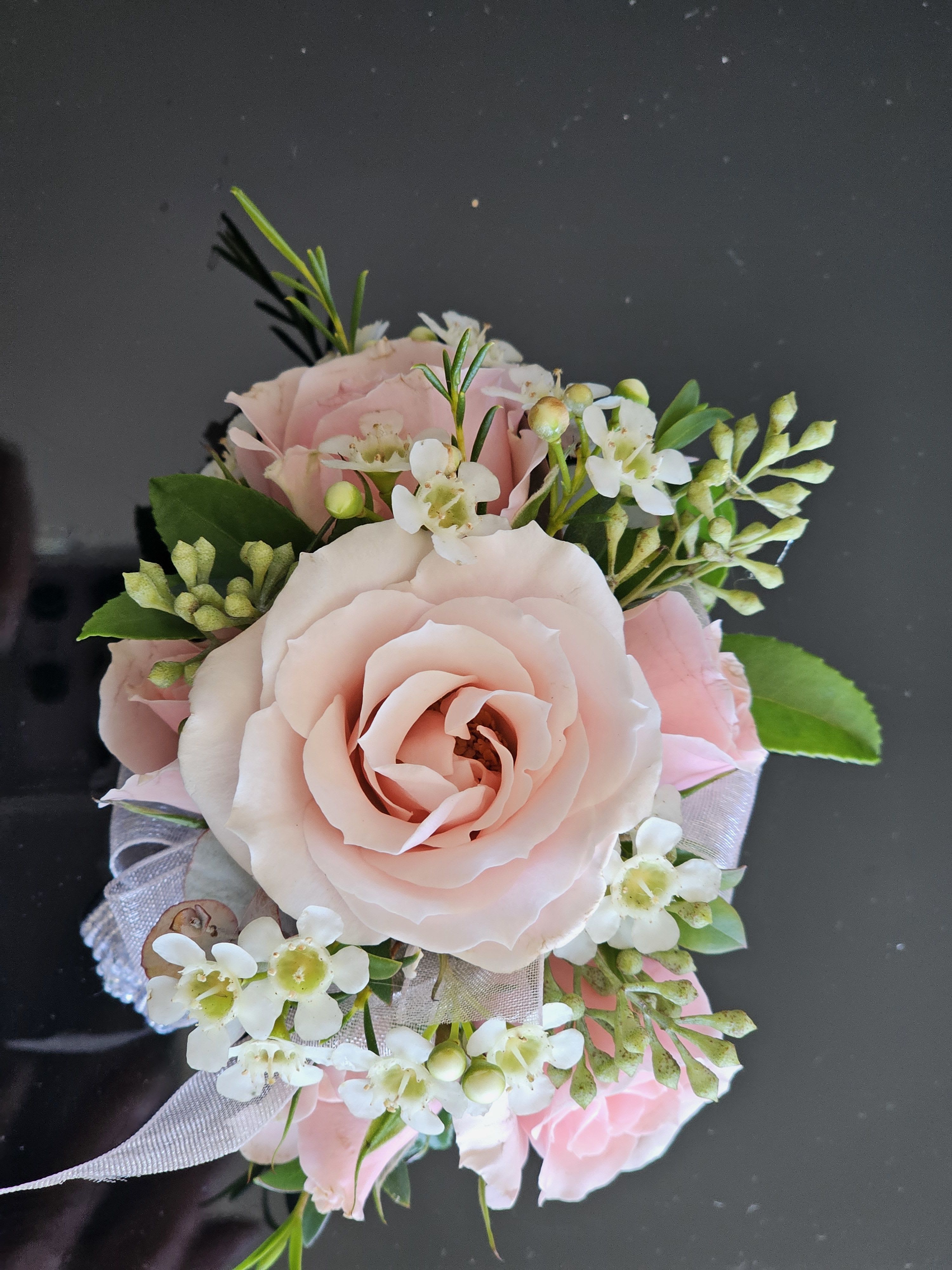 Light pink spray rose boutonniere - Light pink spray rose wrist corsage