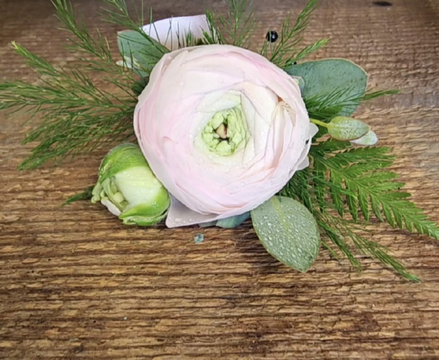 Ranunculus wrist corsage - ranunculus flower wrist corsage in white or blush, must be ordered 2 weeks prior to event