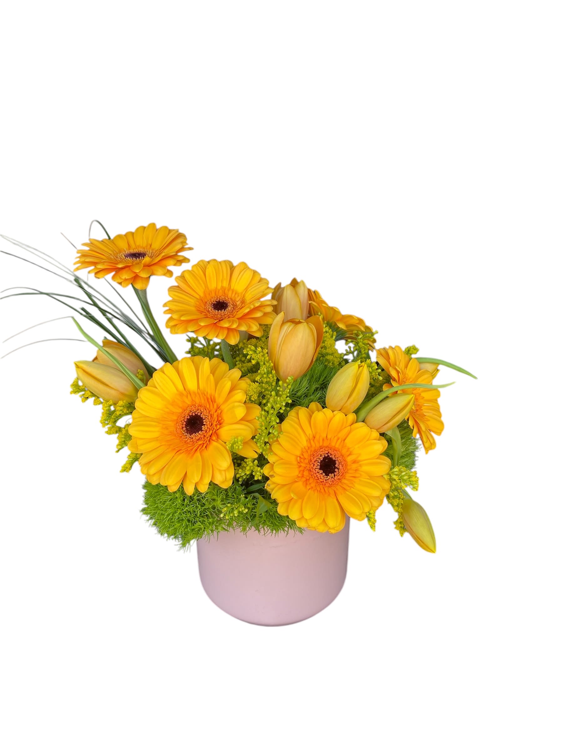 Low arrangement of bright yellow gerbera daisies and lily buds in a pink pot