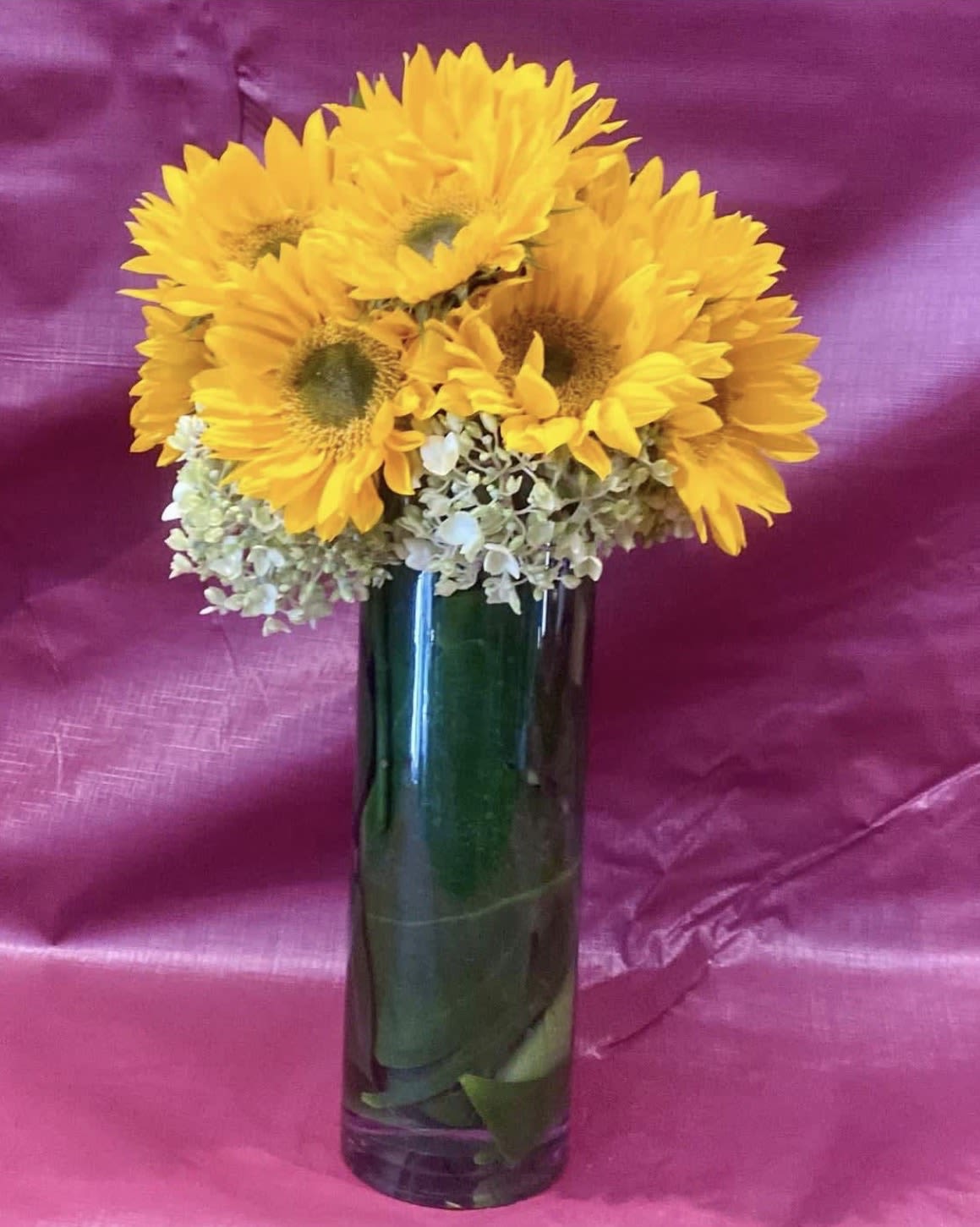 Tall glass vase of bright yellow sunflowers and white hydrangeas against a pink backdrop