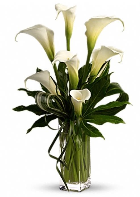 Tall arrangement of white calla lilies in a clear rectangular glass vase