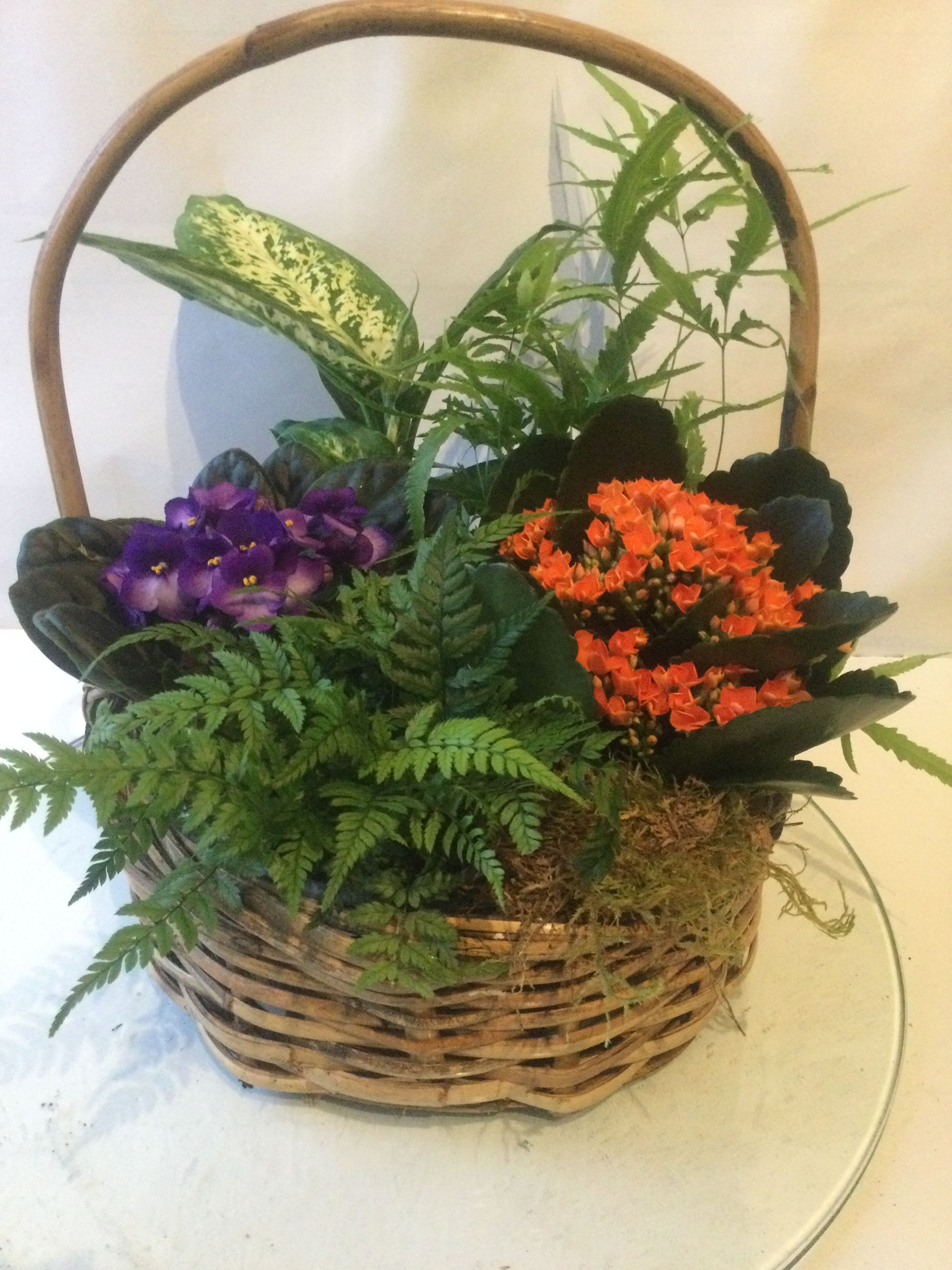 Basket garden with lush green plants and purple and orange flowering plants in a woven handle basket.