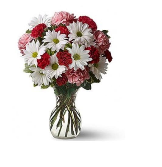 Daisy Charm Elegance - A lively dome of white daisies paired with red and soft pink carnations creates an instantly uplifting birthday bouquet or get-well arrangement that feels both cheerful and composed. This flower arrangement for birthdays, Mother's Day, or everyday appreciation puts the recipient front and center-she'll feel seen and brightened by the clean white blooms contrasted with pops of red and the gentle blush of pink carnations.  Daisies and carnations are arranged densely in a classic clear glass vase so the straight stems show through the water, giving the design a fresh, uncomplicated look that suits bedside tables, kitchen counters, or office desks. The rounded, full-top silhouette measures a generous size ideal for casual celebrations; care is simple-fresh water and a clean vase keep blooms at their best-making this a thoughtful, fuss-free gift that delivers immediate, everyday joy.