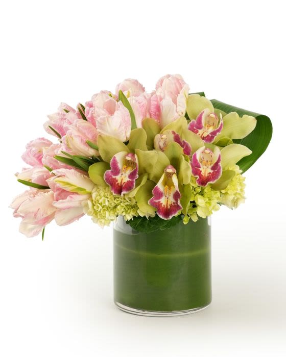 Compact arrangement of pink tulips, green orchids, and hydrangea in a clear glass vase wrapped with green.