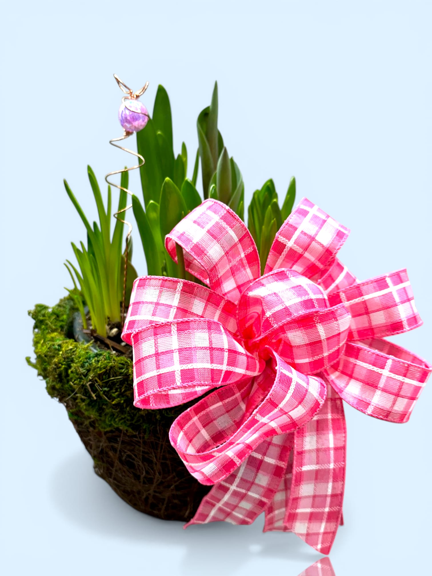 Whispers of Spring Bulb Garden - This charming 8-inch basket or tin, are a quaint vessel woven from nature's artistry, is poised to unveil its vibrant treasures as spring arrives. Within this rustic ensemble, a delightful collection of bulbs awaits, each promising a burst of color and fragrance that will dance in the sun's warm embrace. As the earth awakens, sunny daffodils trumpet their joyful arrival, surrounded by clusters of petite hyacinths whose sweet scents enchant the air. Graceful tulips rise like painted whispers of romance in a palette that ranges from delicate pastels to bold jewel tones, each bloom a love letter in bloom. With its symphony of colors and fragrances, this enchanting garden serves as a beautiful reminder of life's enduring magic—an invitation to pause and celebrate love, hope, and the promise of new beginnings in the gentle, fleeting moments of springtime. *Container may vary 