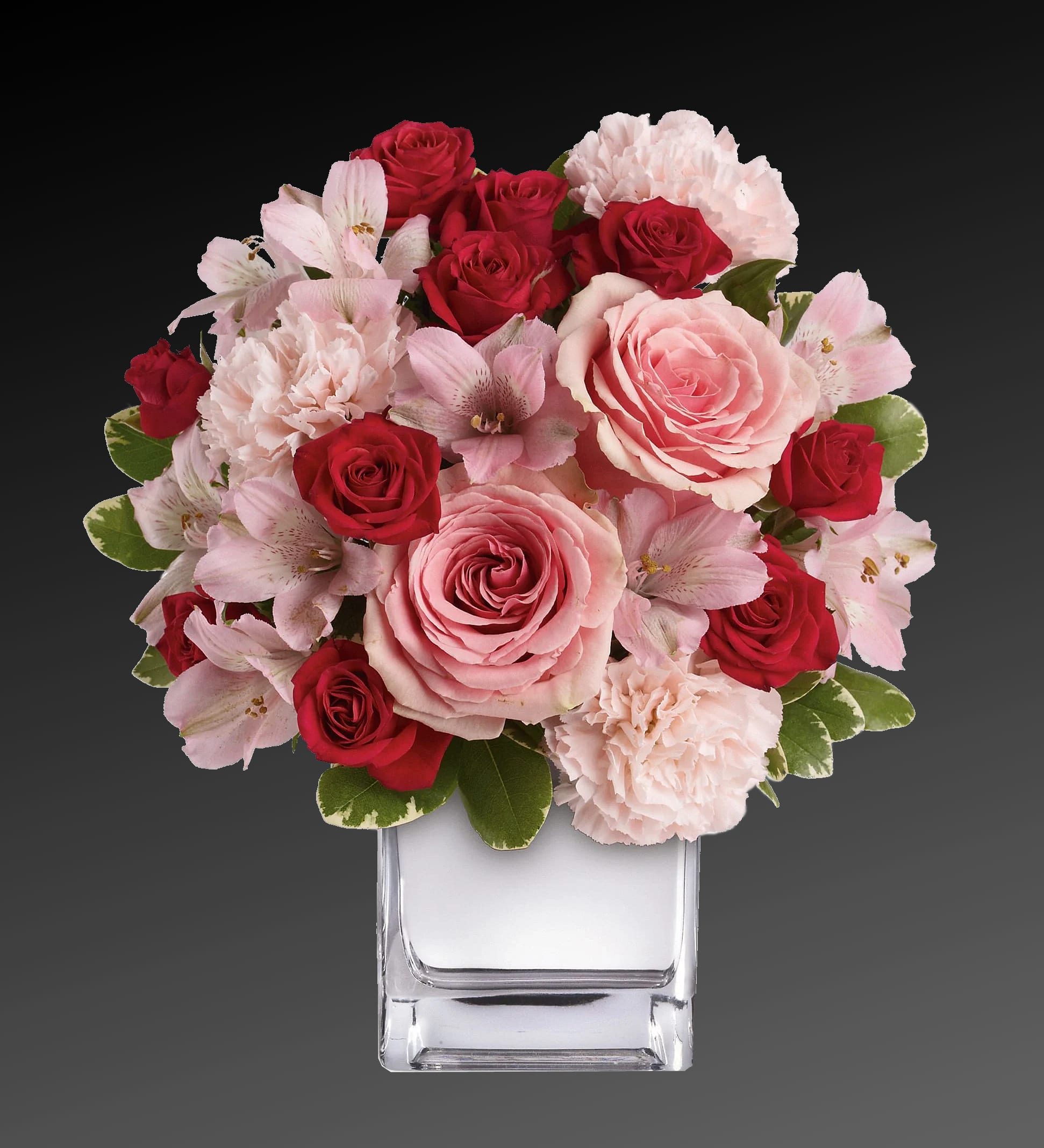 Compact arrangement of red and pink roses, alstroemeria, and carnations in a clear glass cube vase.