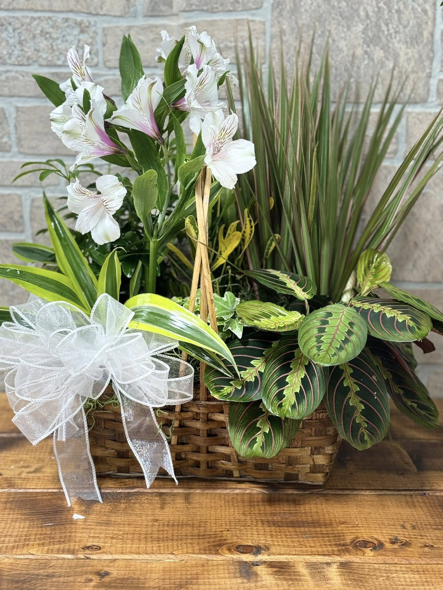Basket planter with white alstroemeria and assorted green plants accented with a white ribbon bow