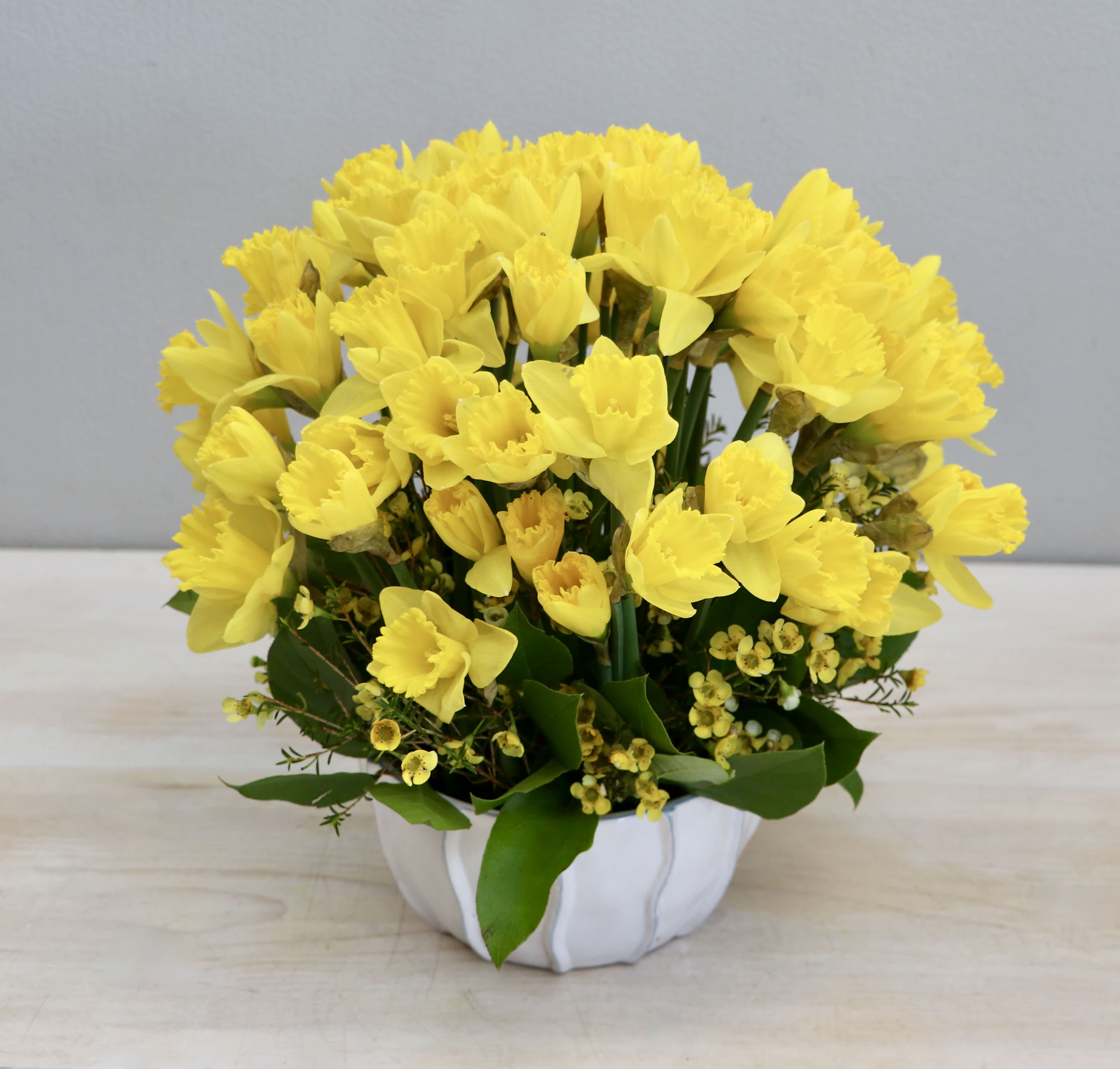 Dandy Daffodils - My Glendale Florist  - Looking to brighten up someone's day? Try our new daffodil special. With bright bursts of yellow daffodils and seasonal greenery this arrangement stands at approximately 10-12 inches tall in the standard size. 