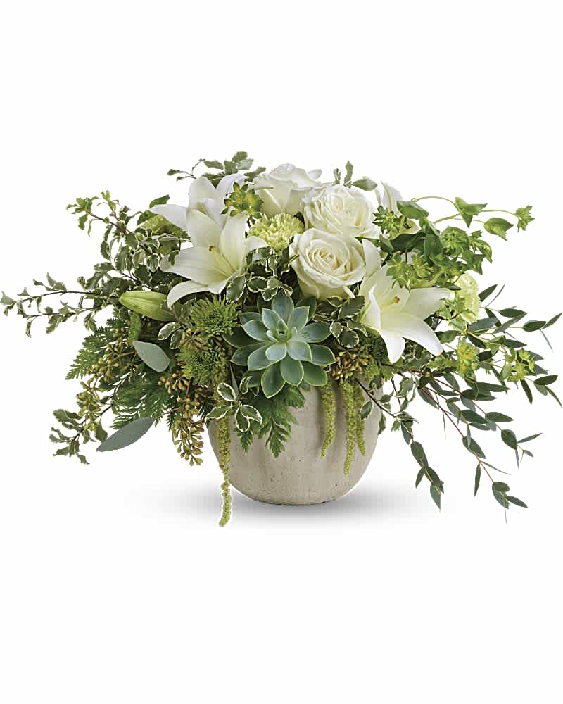Low arrangement of white lilies and roses with a central succulent in a round concrete pot