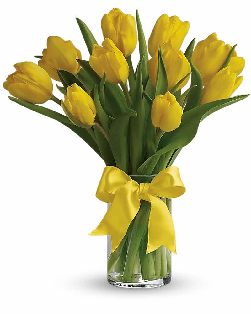Arrangement of yellow tulips in a clear glass cylinder vase with a yellow ribbon bow.