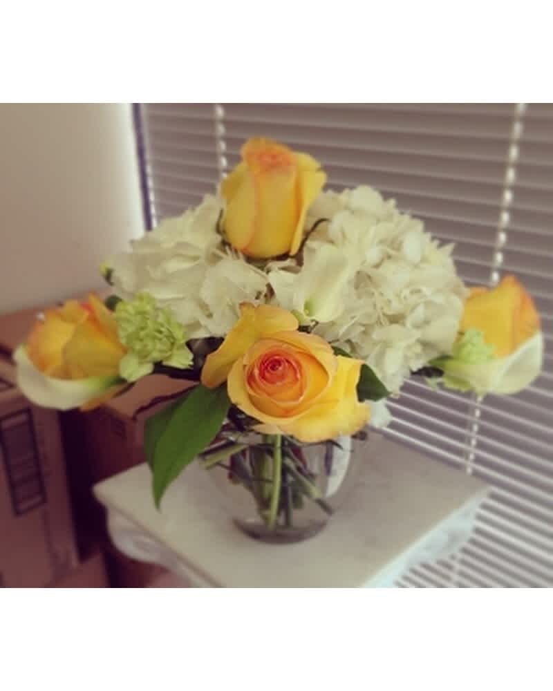 Round vase arrangement with yellow roses, white hydrangeas, and white calla lilies