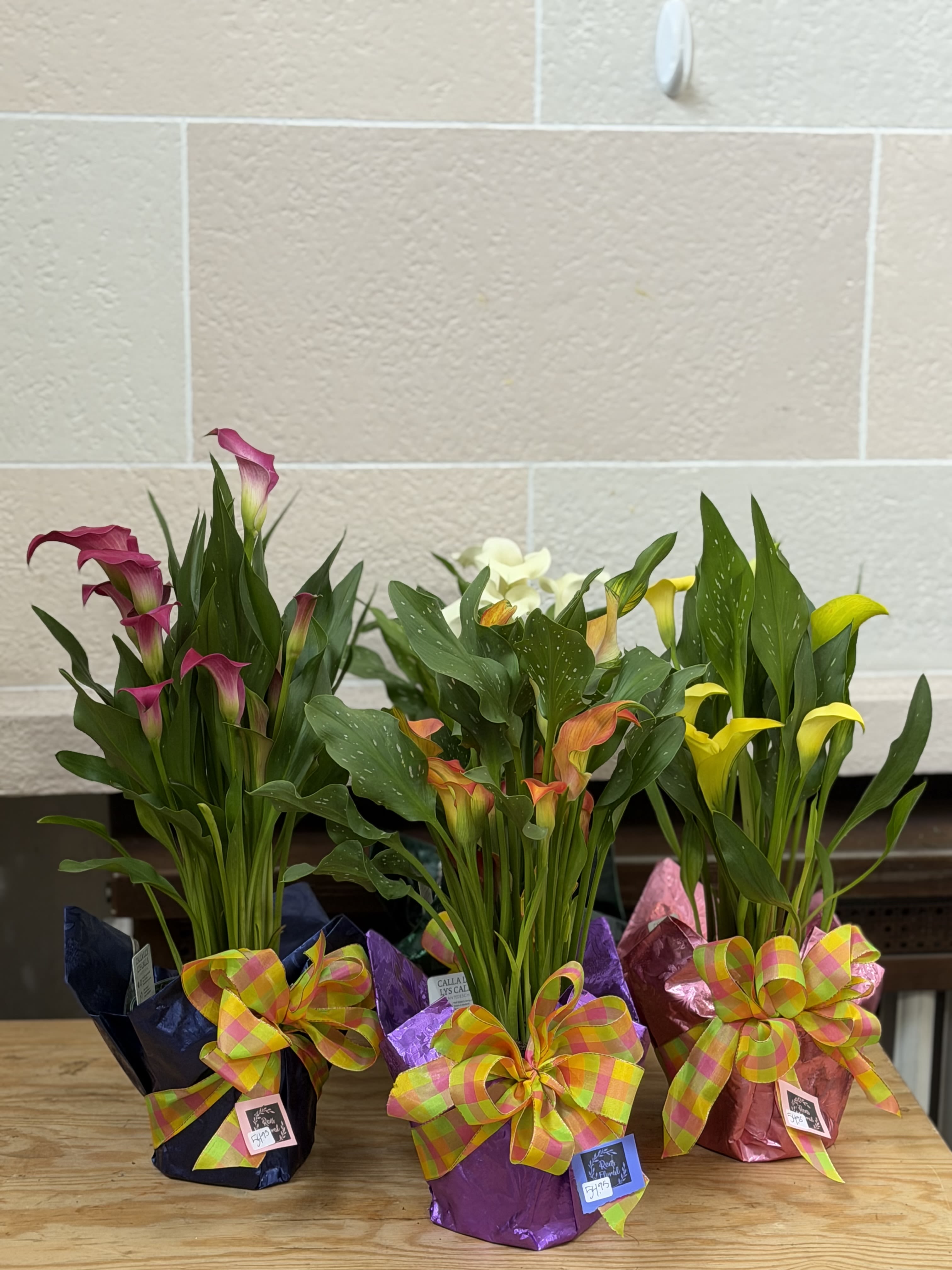 6" Wrapped Calla Lily - A 6" wrapped calla lily with a bow   **Colors may vary**