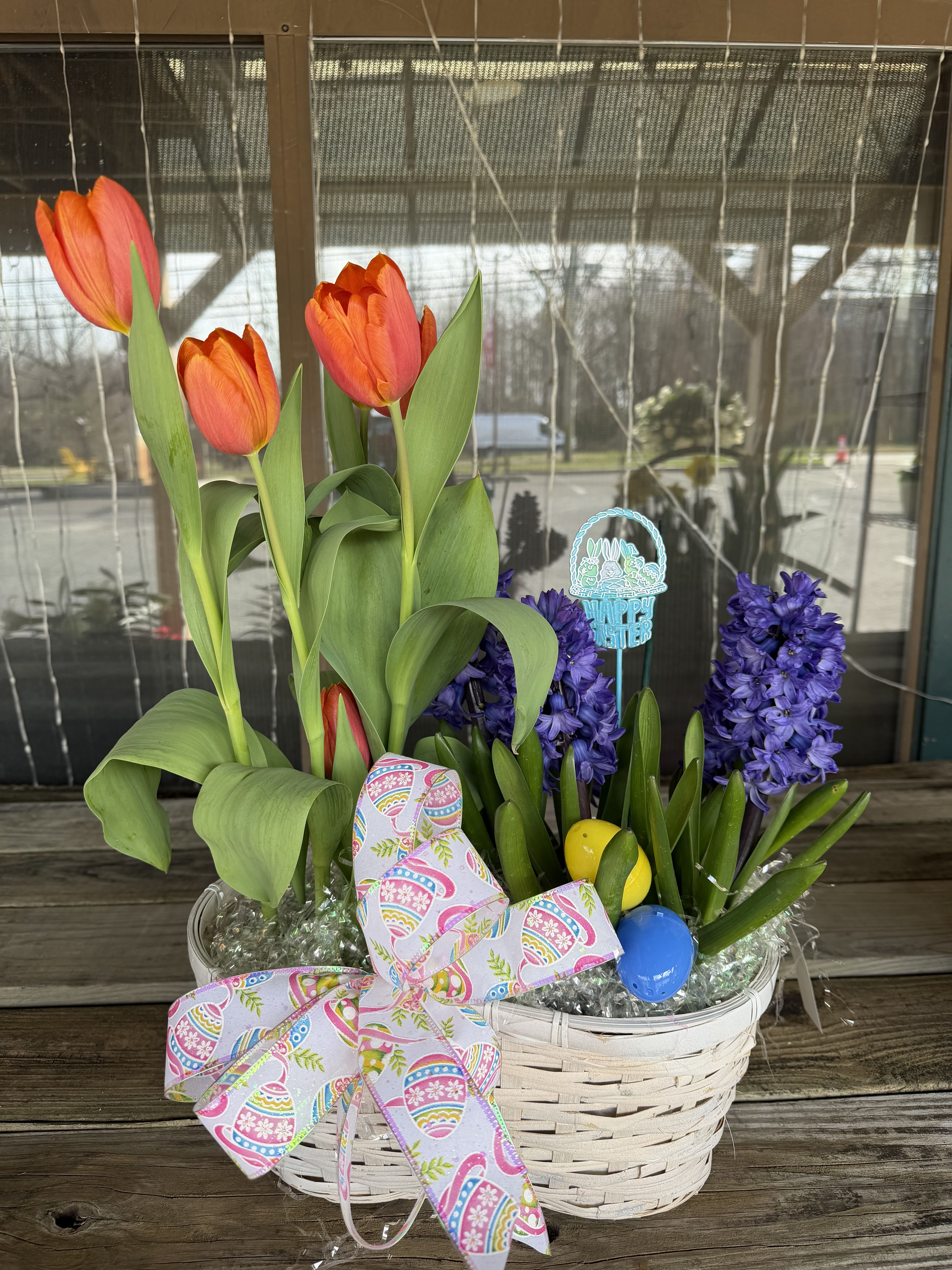 Easter Plant Combo 2  - A variety of Easter Plants arranged in a basket with Easter accents. SMELLS GREAT!