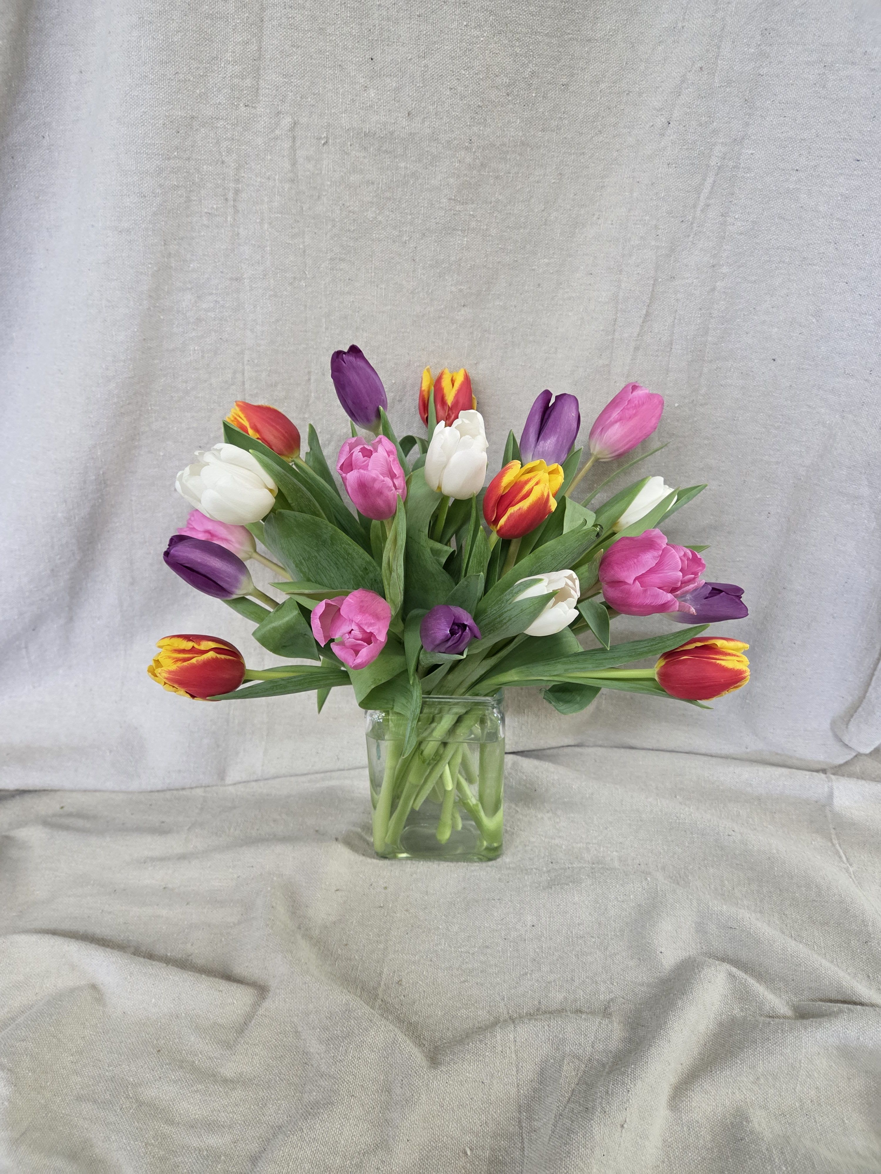Bouquet of multicolored tulips arranged in a clear glass cube vase