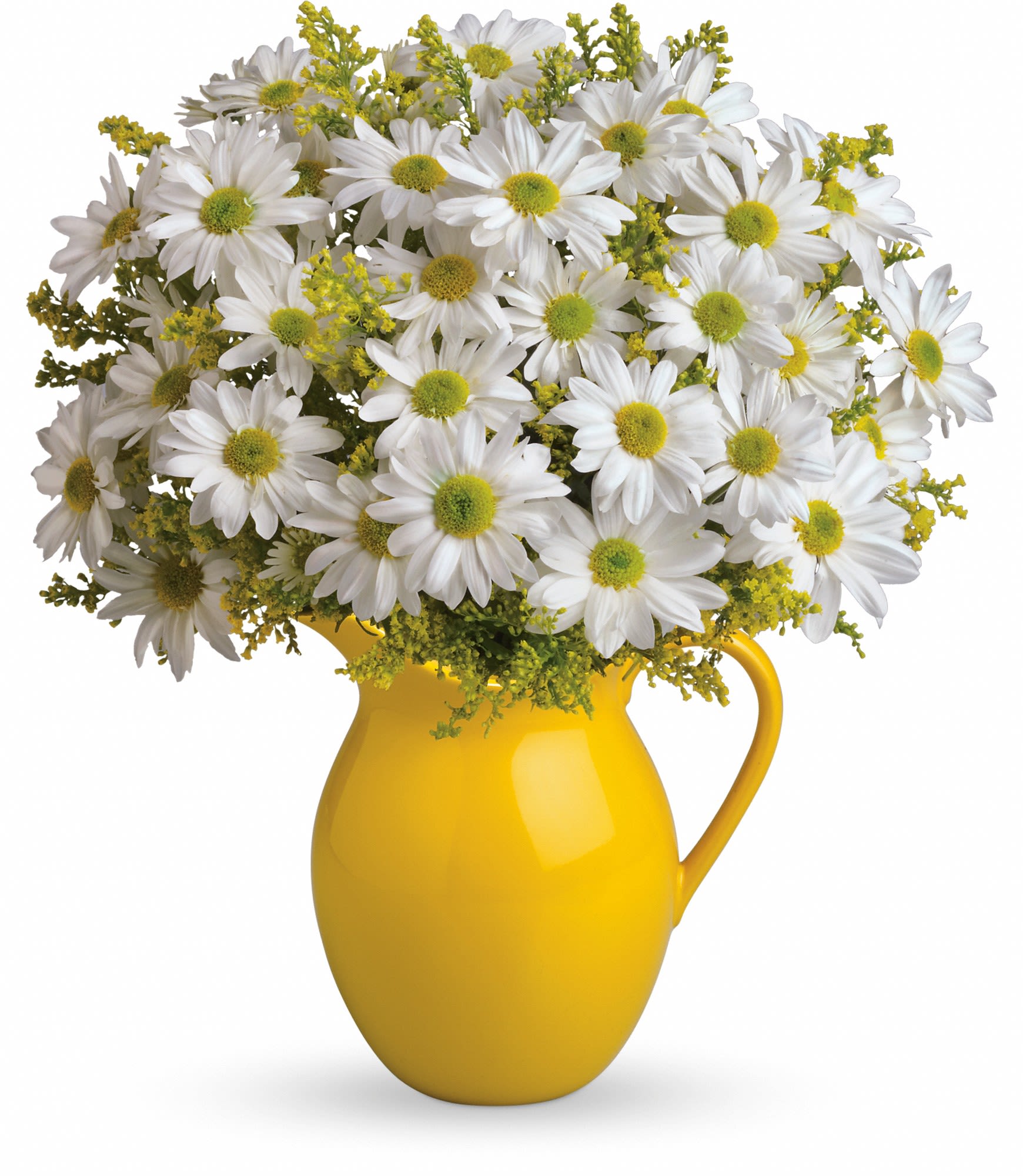 Sunny Day Pitcher of Daisies - Picture someone receiving this sunny pitcher of daisies! It's so bright and full of warmth, it's guaranteed to make them smile. Besides being the perfect bouquet for any occasion, the dazzling yellow ceramic pitcher can be used and enjoyed for years to come.